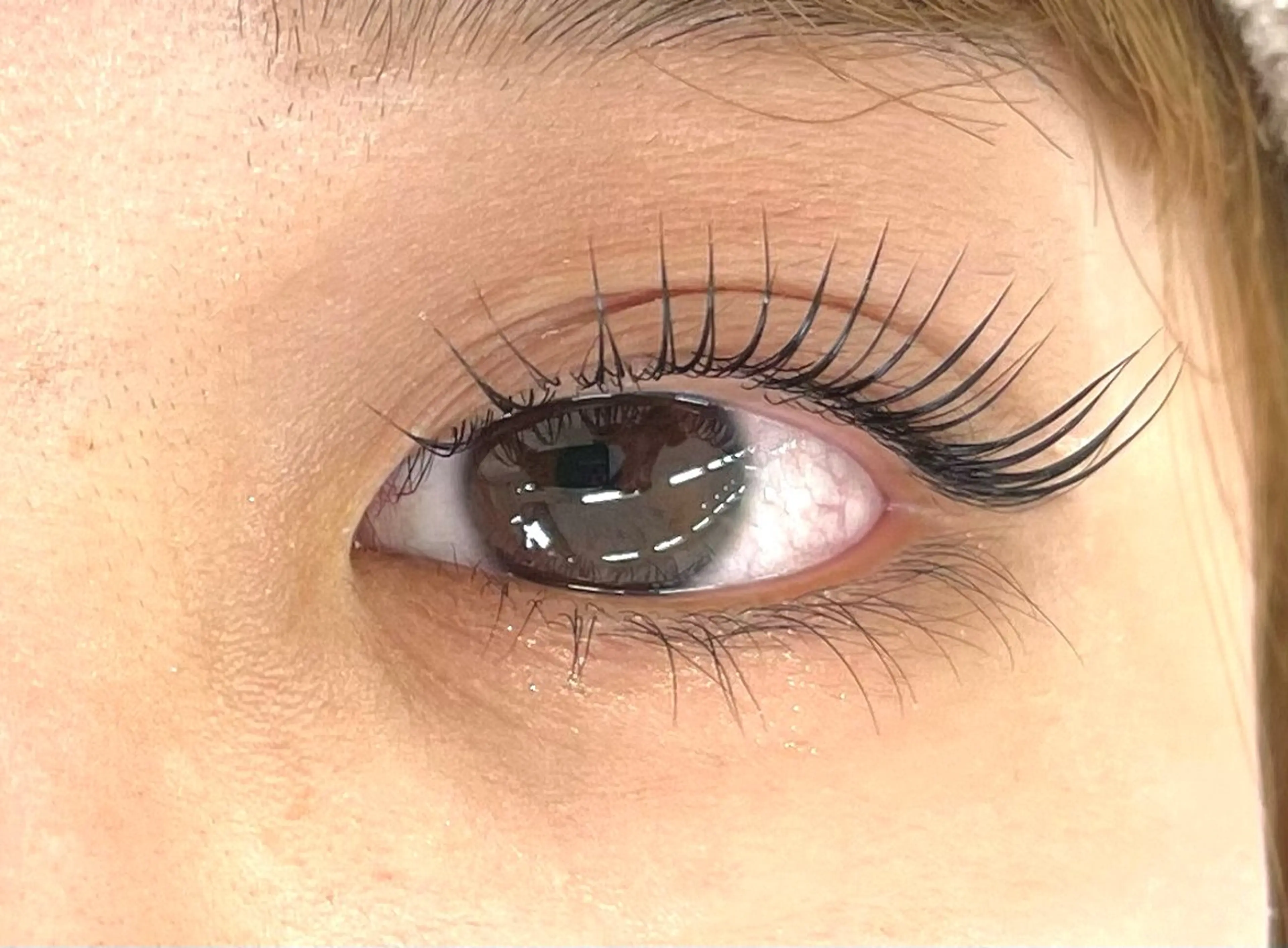 マツエク・マツパ マツパ マリーテレジア 🌻RUKAのマツエク・マツパデザイン