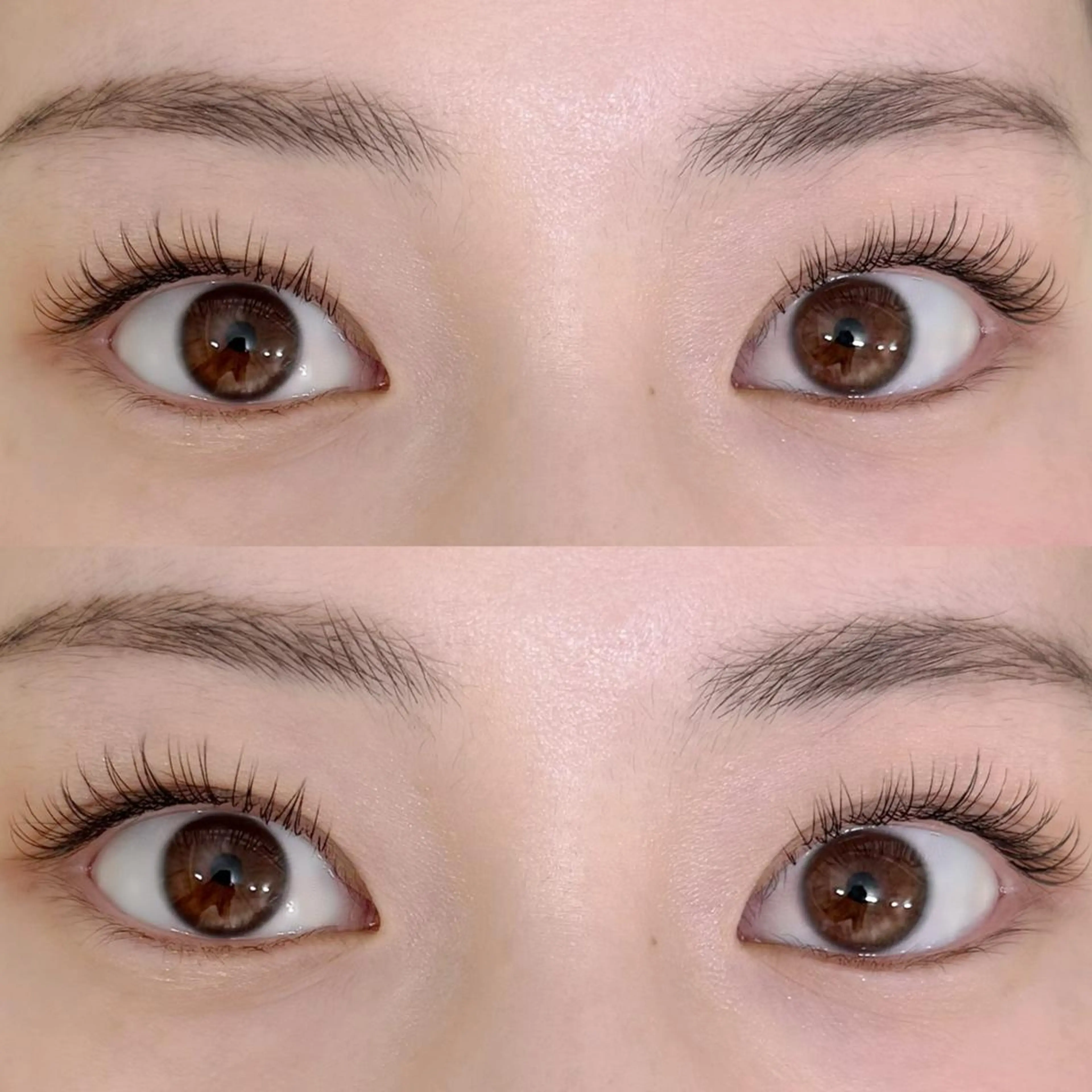 フラットラッシュ【80本】自まつ毛診断付きの写真