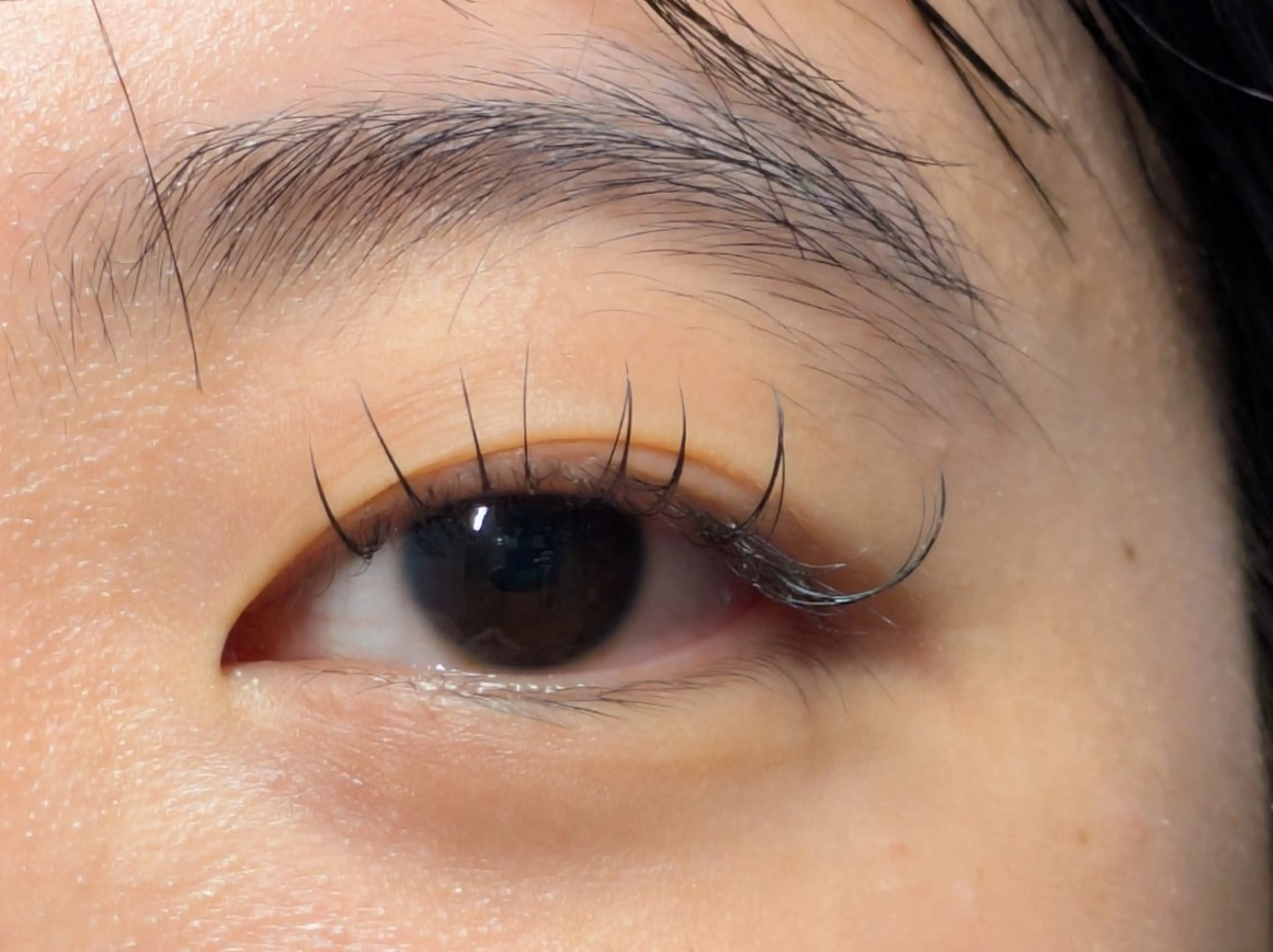 マツエク・マツパ Cカール Sun Brown Ryu-gaのマツエク・マツパデザイン