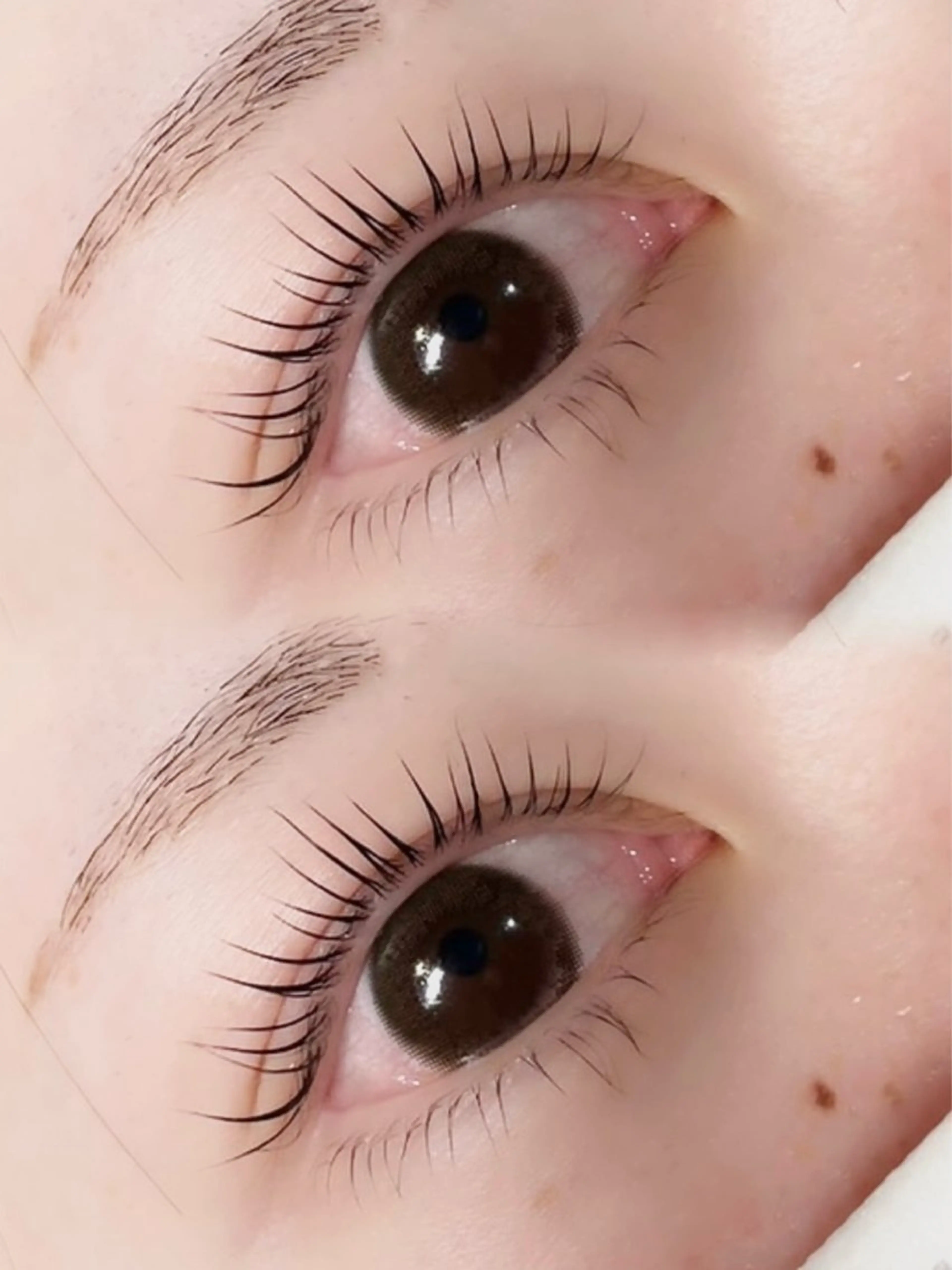 蟹江店OPEN【人気No.2✌🏻】上下まつげパーマ  🩶口コミご協力特典♡アイパックの写真