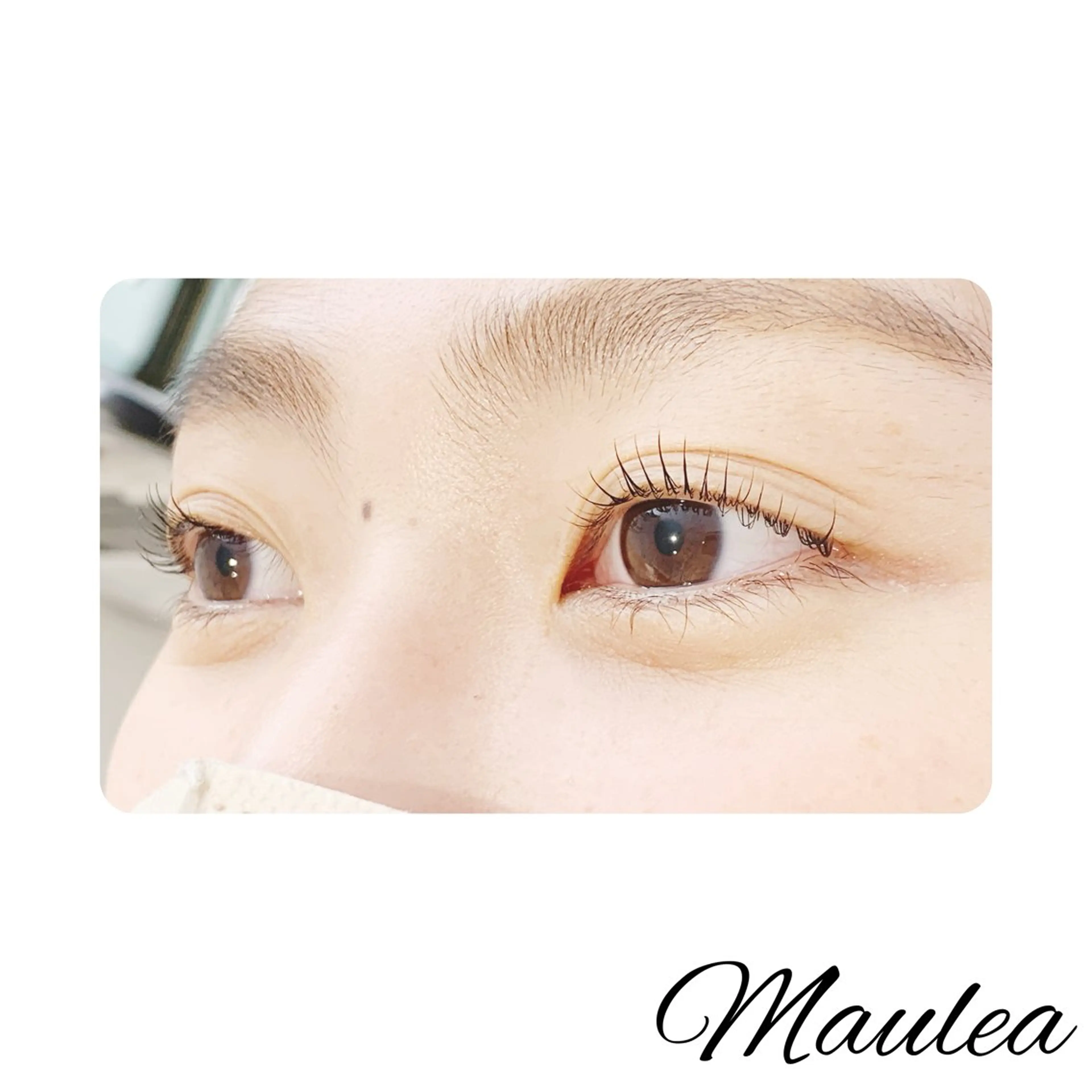 💐minimo特別ケアメニュー💐🫧まつ毛パーマ&高濃度アミノ酸🫧の写真