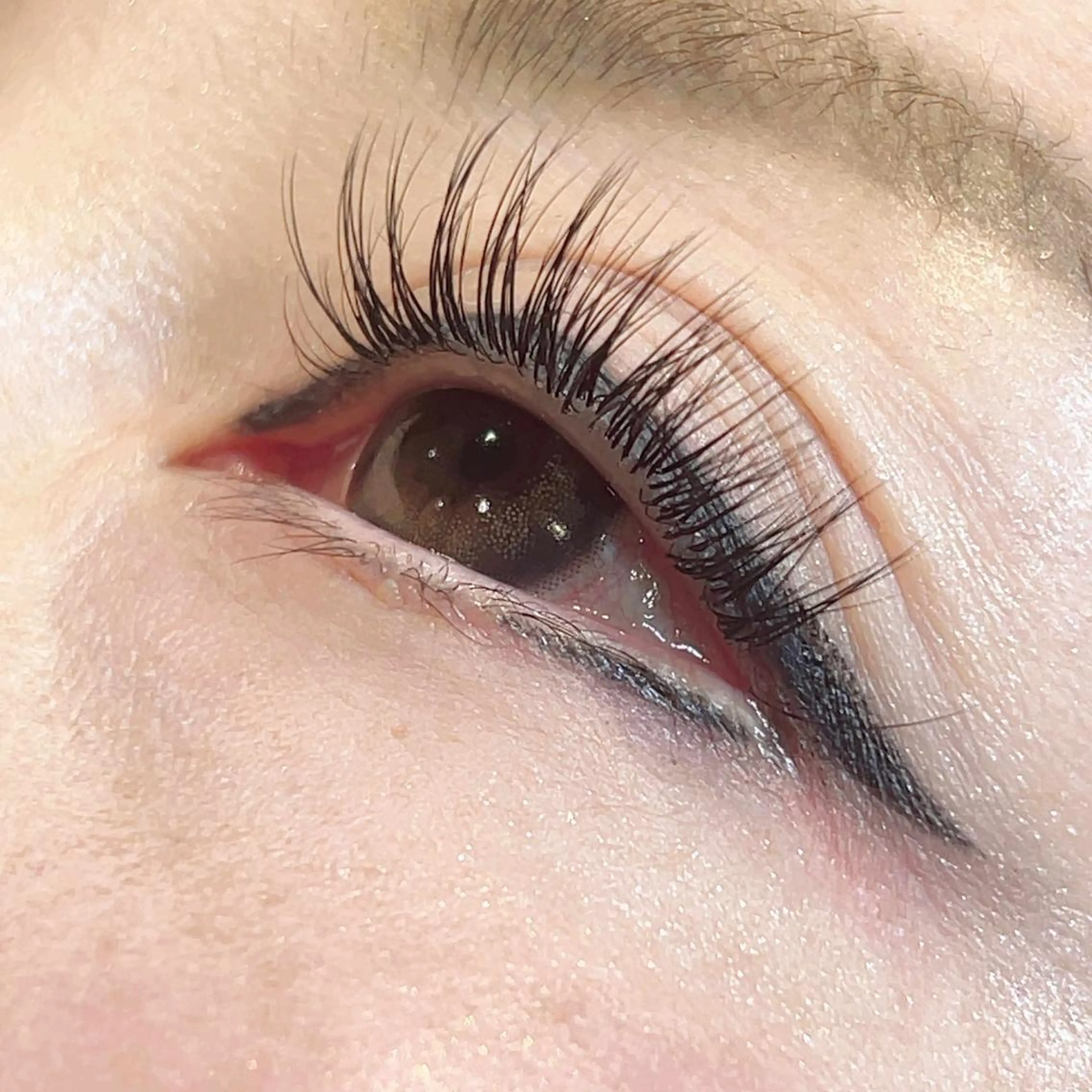 マツエク・マツパ Coquille 上野 御徒町店のマツエク・マツパデザイン