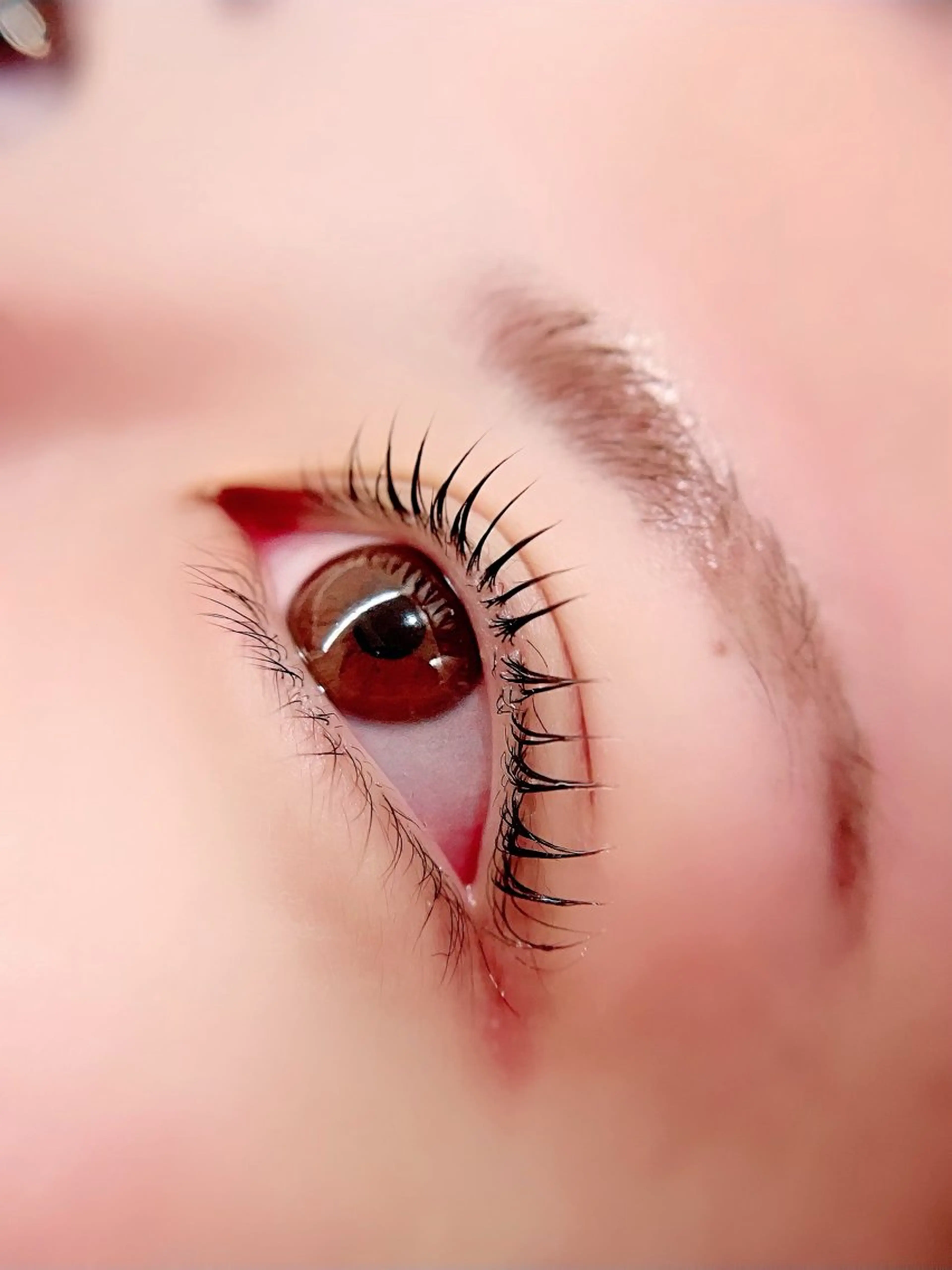 マツエク・マツパ ナチュラル まつげパーマ セーブル 一重×まつ毛パーマ Fave【フェイブ】 まつパ/眉毛/メンズの眉毛・アイブロウイメージ