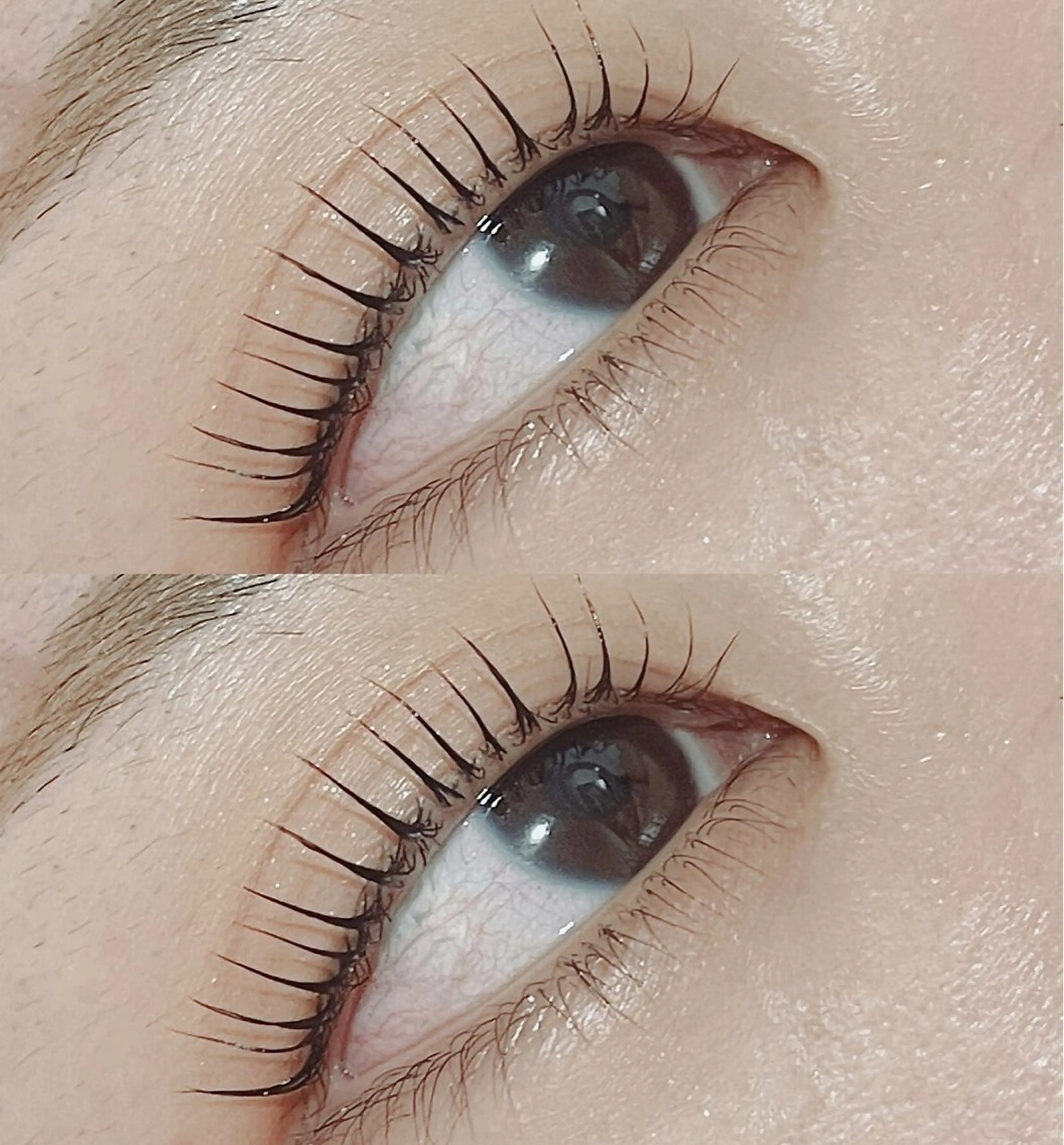 マツエク・マツパ マツエク ╹◡╹Mimoミモ Eye&Nailのマツエク・マツパデザイン