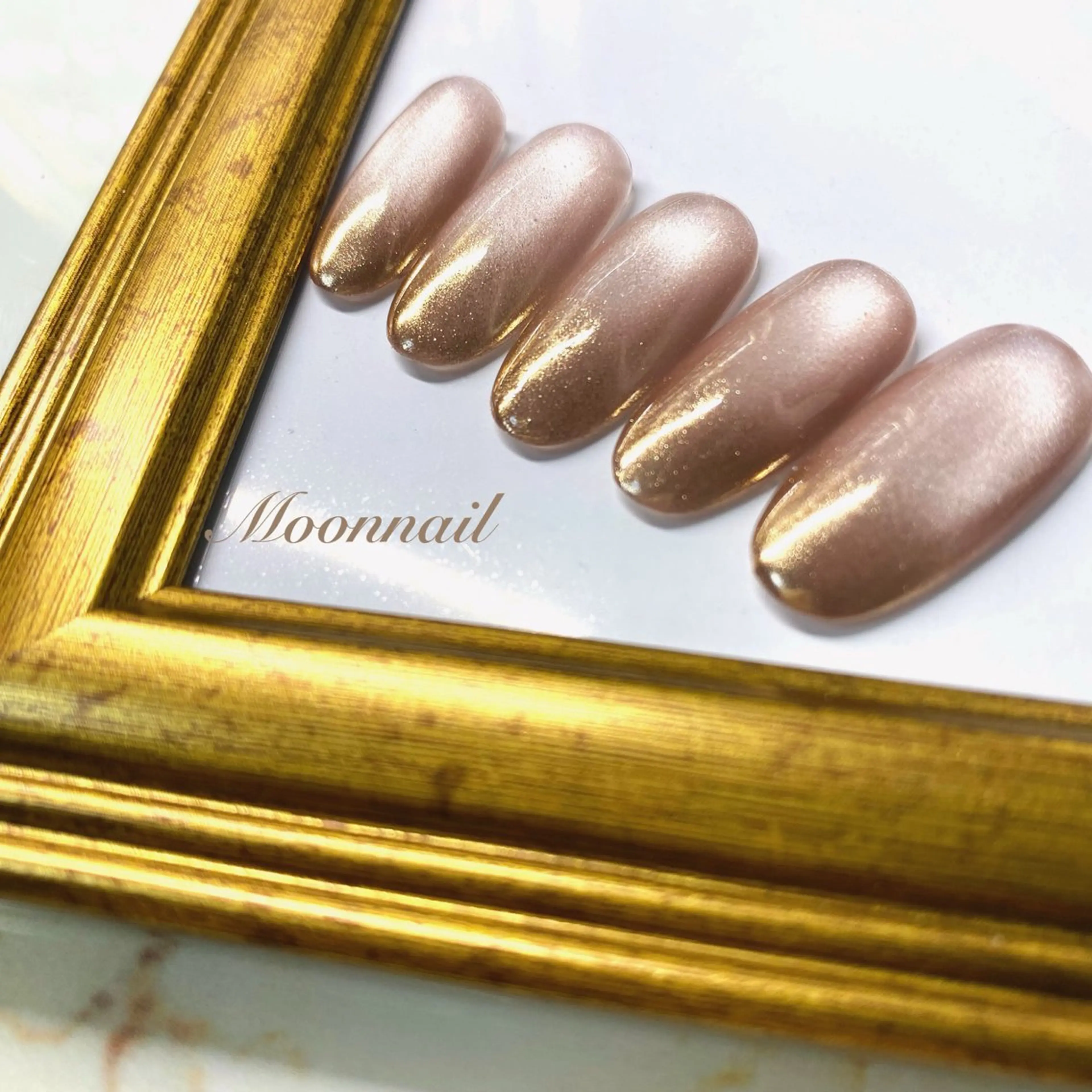 定額シンプルの写真