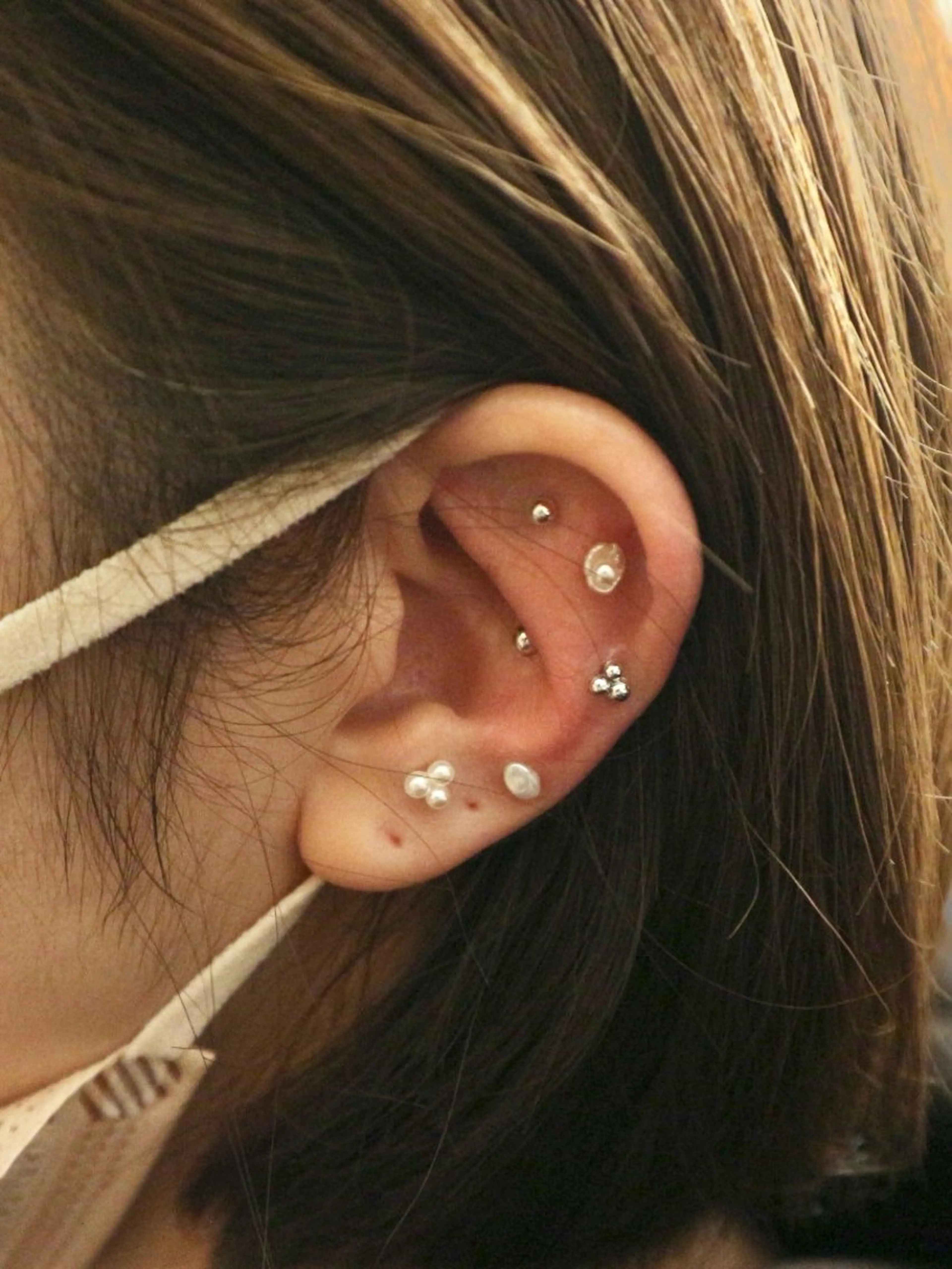 B.napus/mimi2bo所属・B.napus Nanohaのその他イメージ