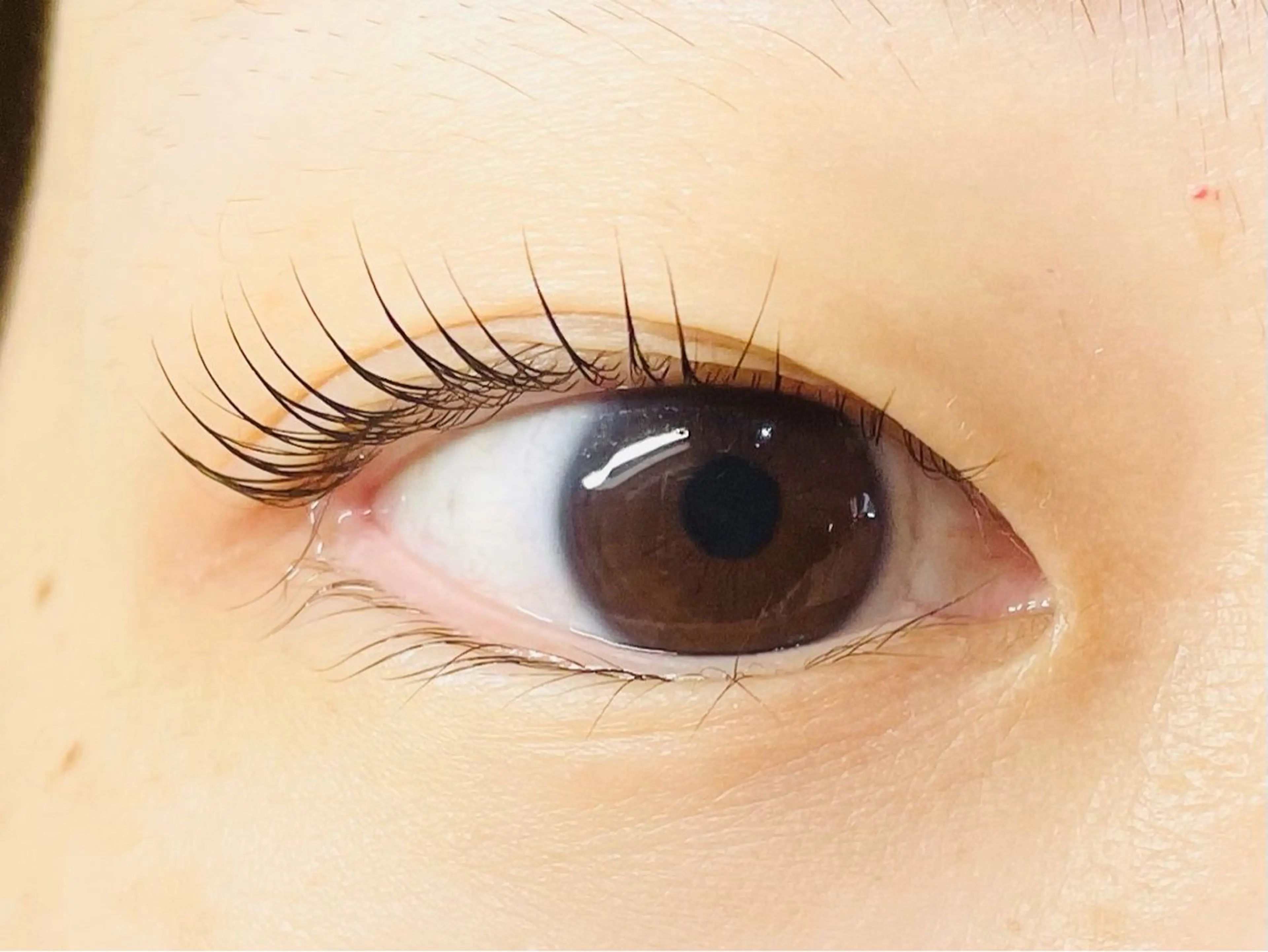 マツエク・マツパ マツパ アイラッシュサロン【エフドゥ】所属・中村彩香 (エフドゥ)のマツエク・マツパデザイン