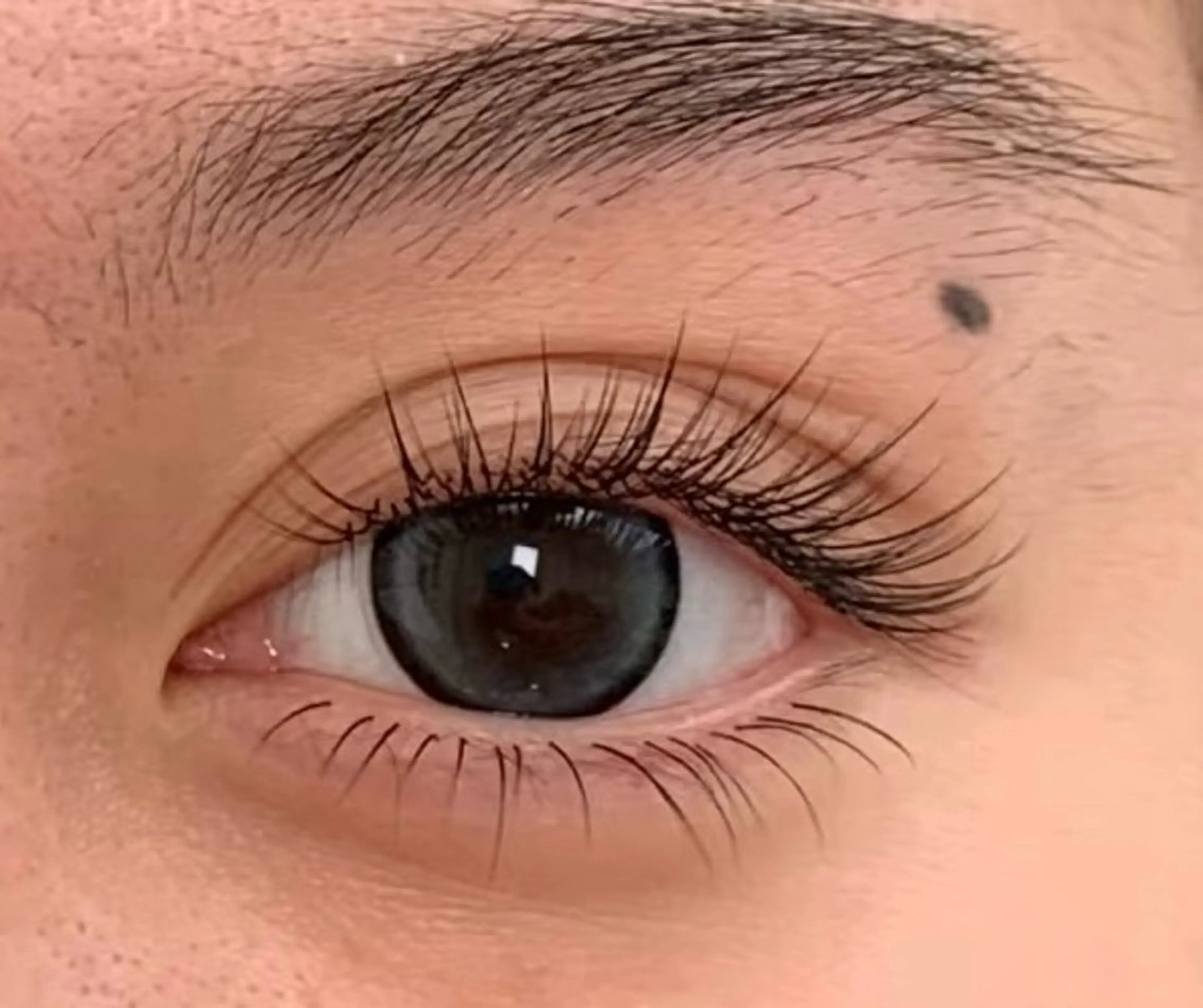 マツエク・マツパ MOMO モモのマツエク・マツパデザイン