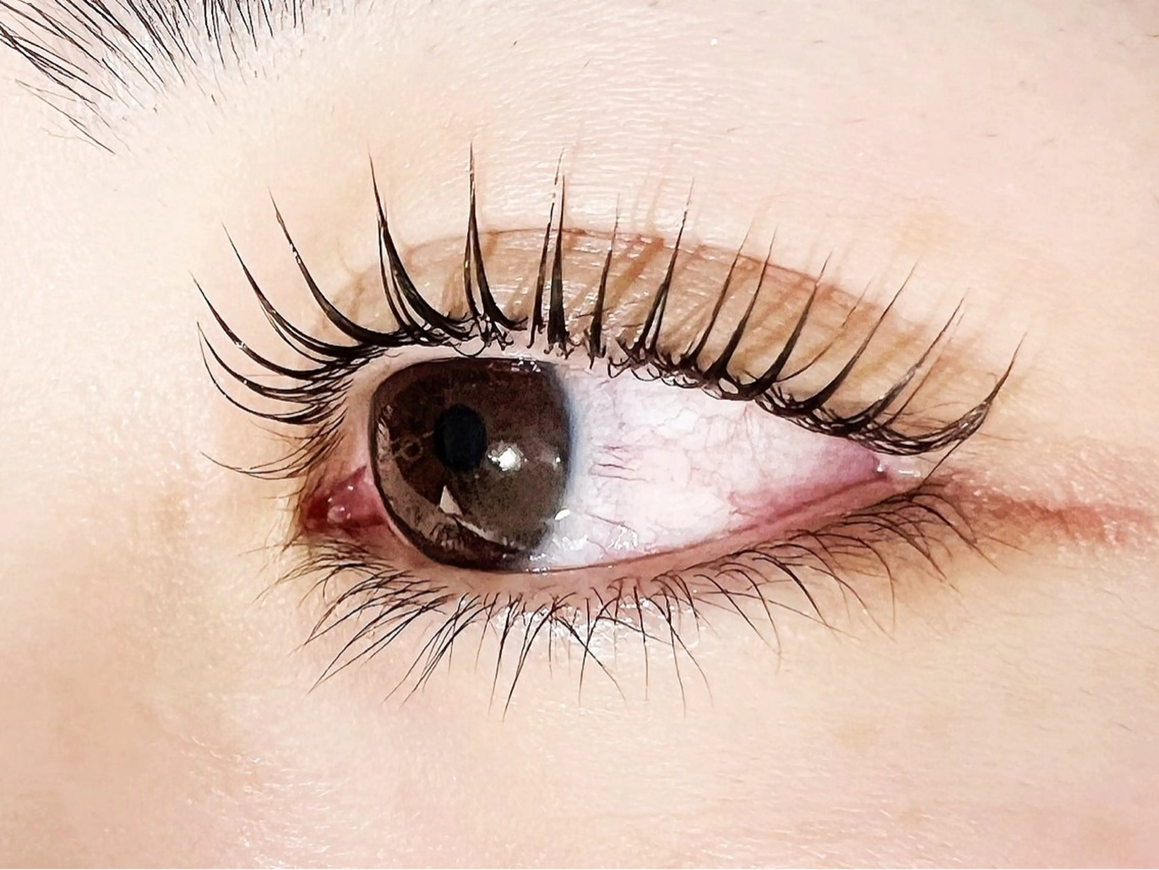 マツエク・マツパ joieange 🕊️のマツエク・マツパデザイン