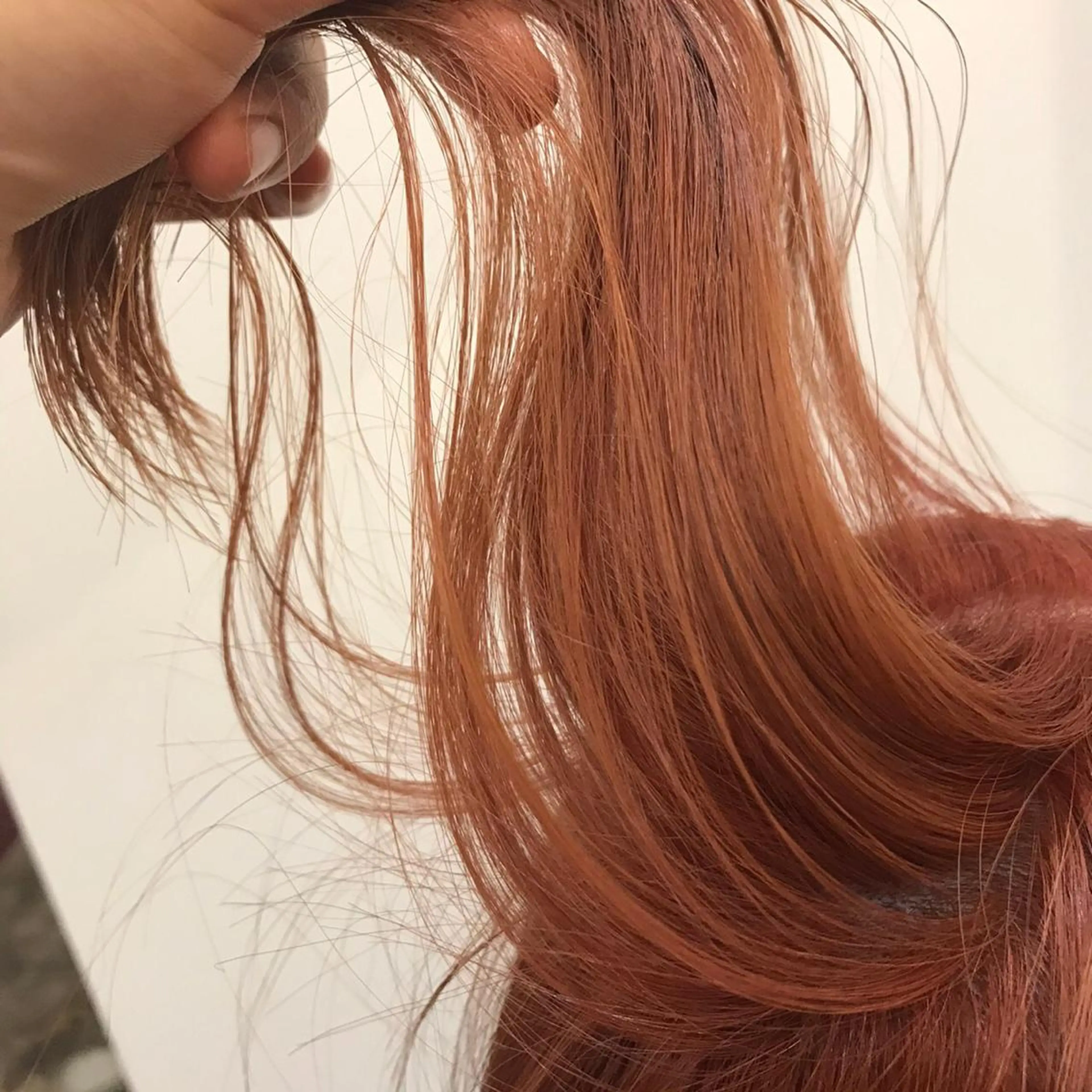 ショート カラー HACCH （ハッチ）所属・🪼ボブ/ミニボブ レイヤーボブ🪼のヘアスタイル