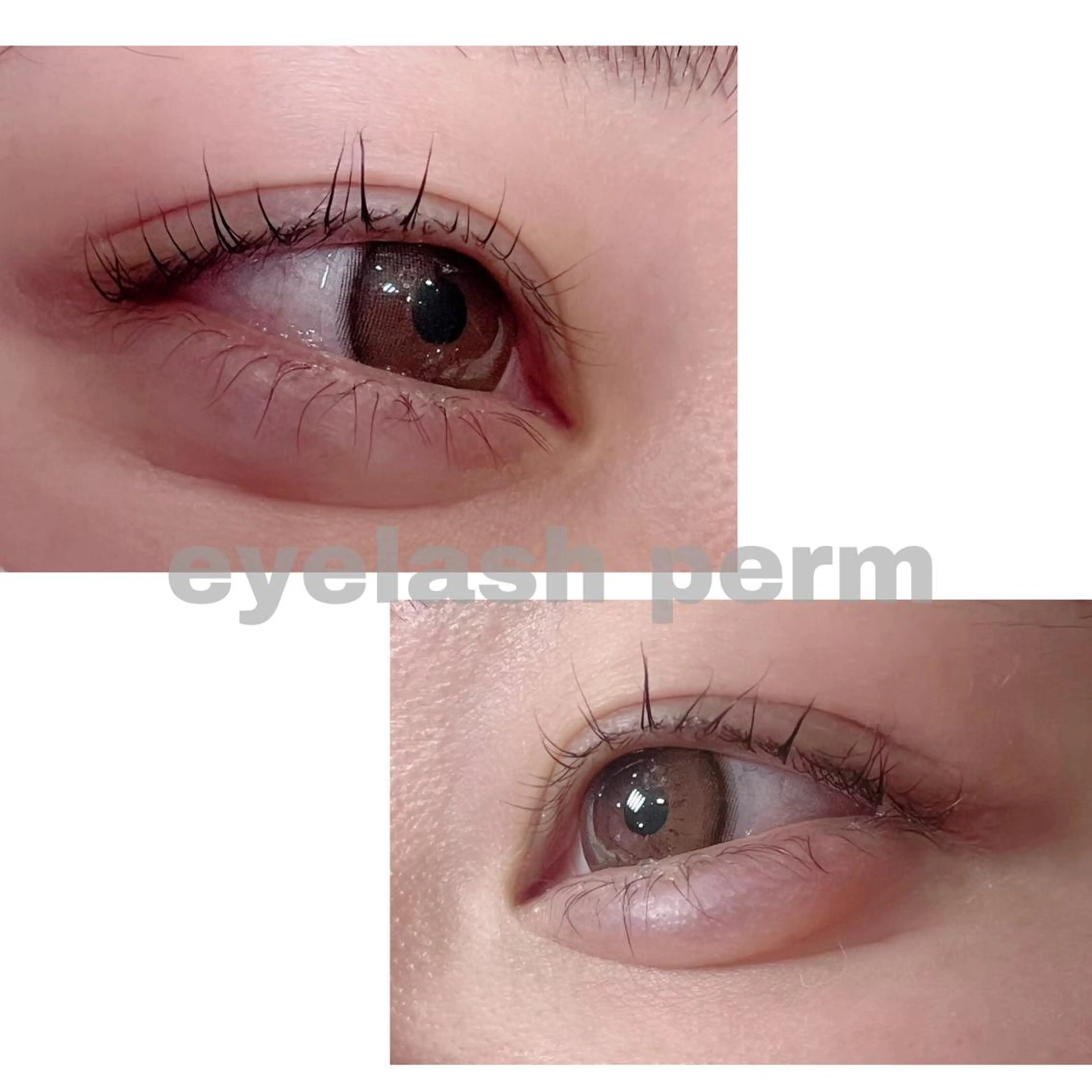 マツエク・マツパ 下まつげエクステ 一重×まつ毛パーマ 藤川 瑛梨奈のマツエク・マツパデザイン