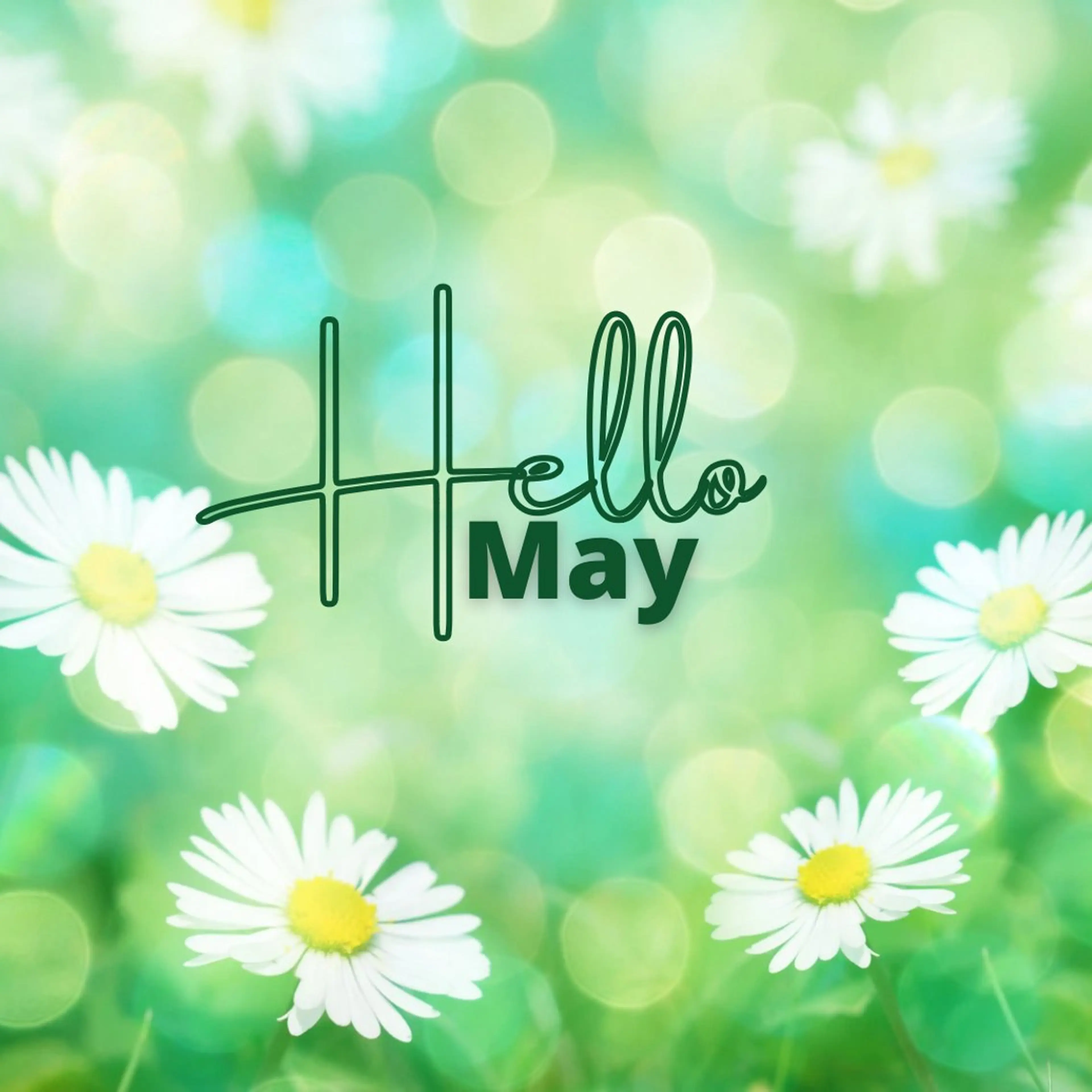 エステ リラク YOSAPARK Nounoursのエステ・リラクイメージ