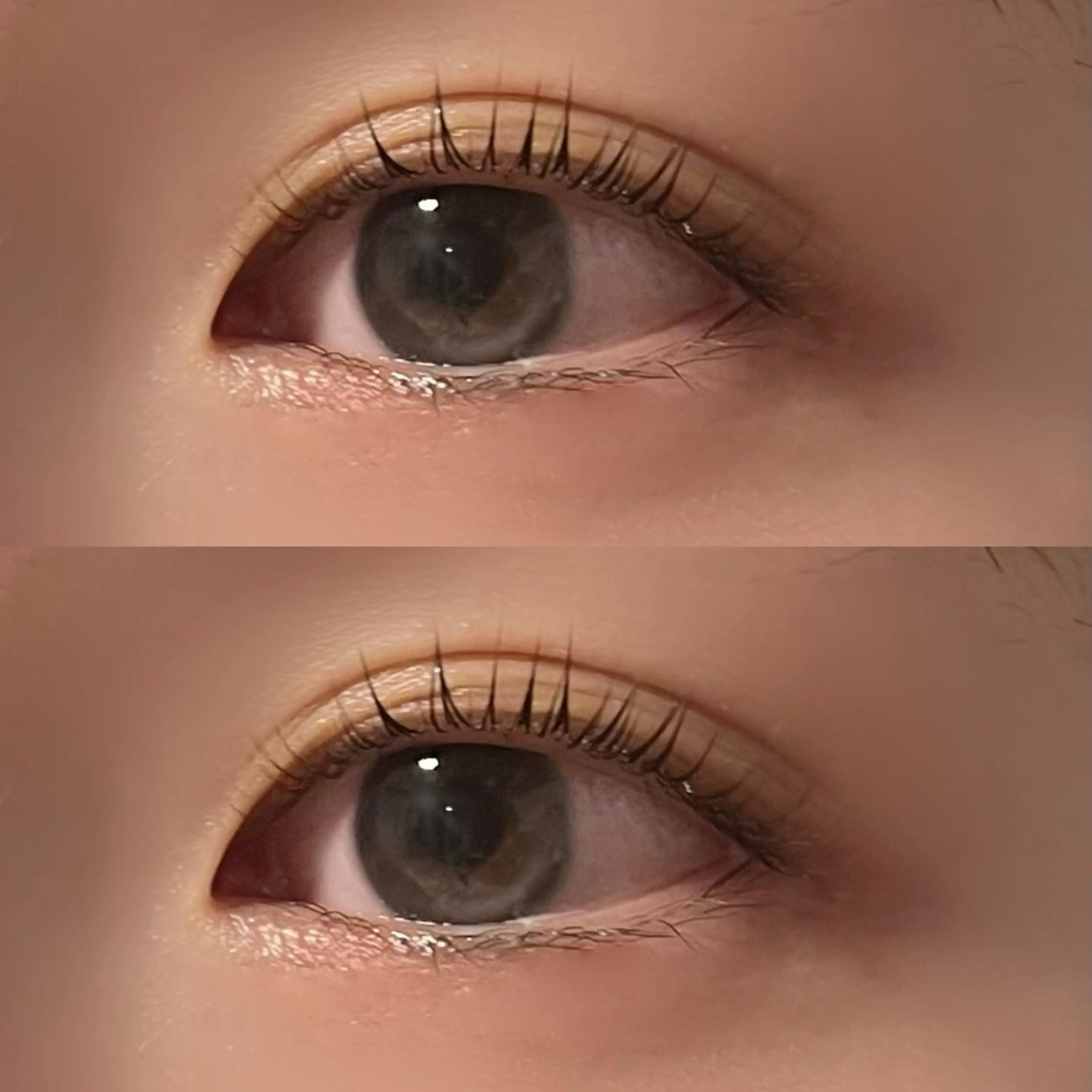 マツエク・マツパ 🤍 rinka🤍のマツエク・マツパデザイン