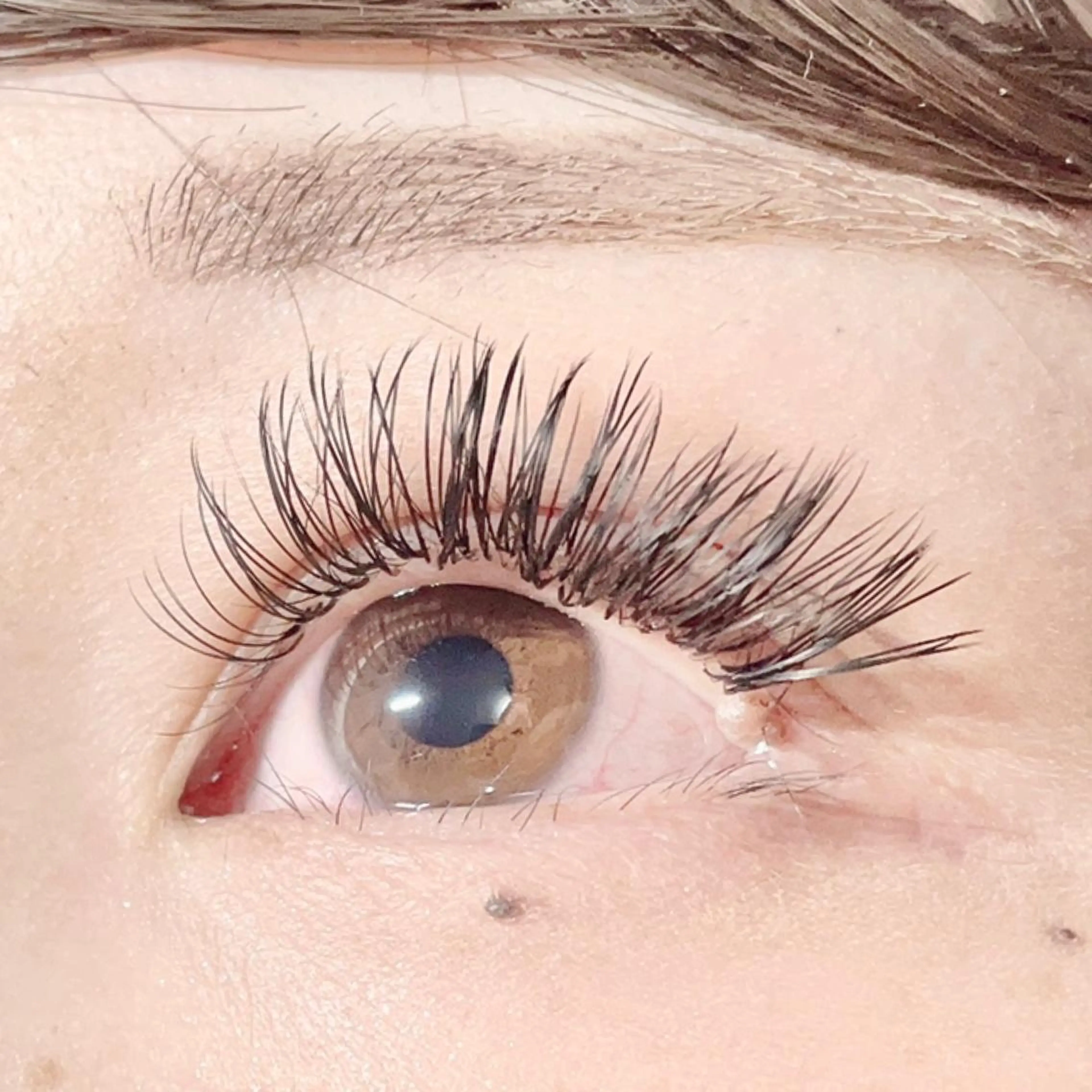 マツエク・マツパ Dカール 目尻長め 🍀fleur🍀 束感/ワンホン/杉浦のマツエク・マツパデザイン