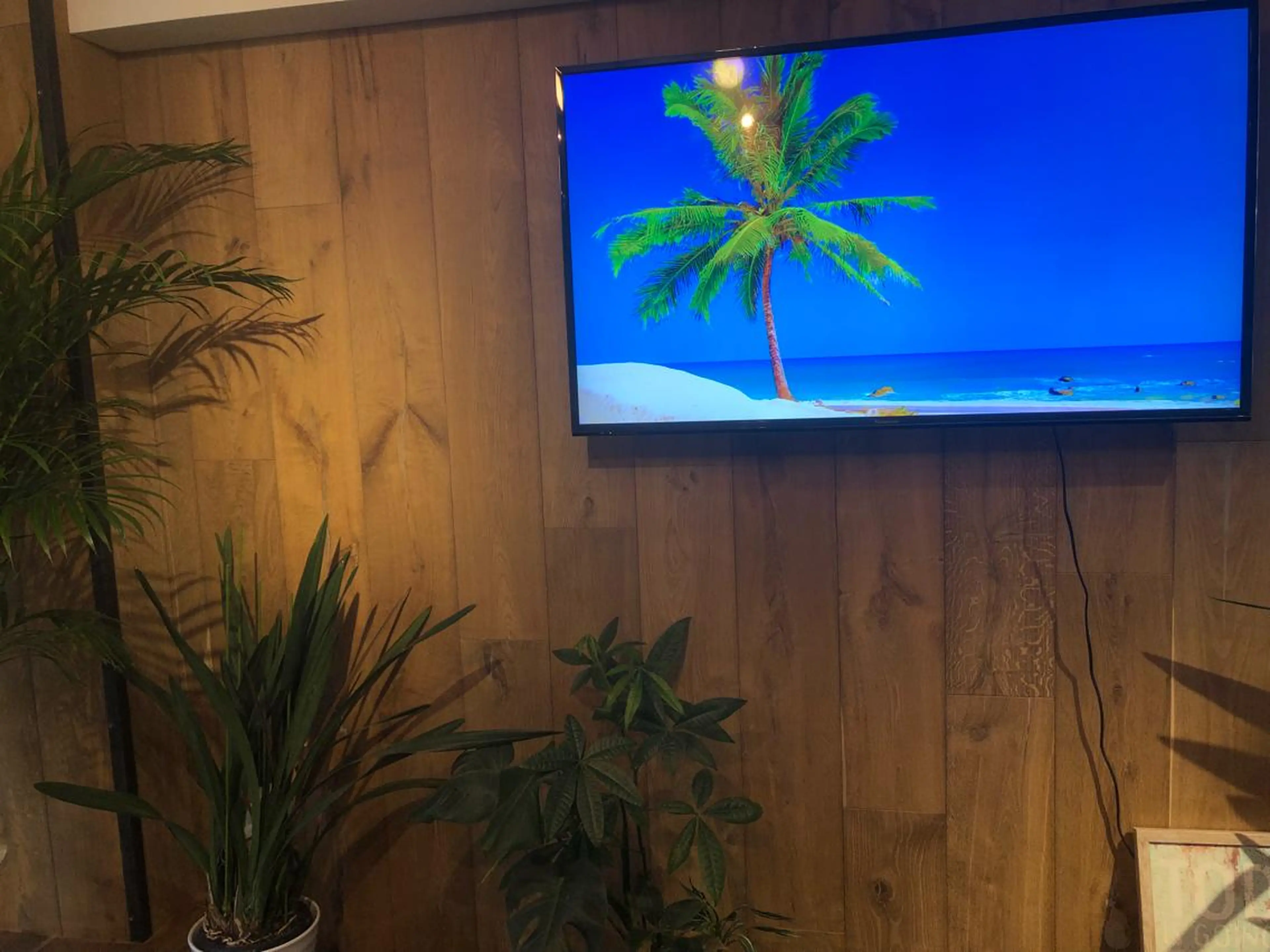 ショート 髪質改善サロン Liko🌟のヘアスタイル