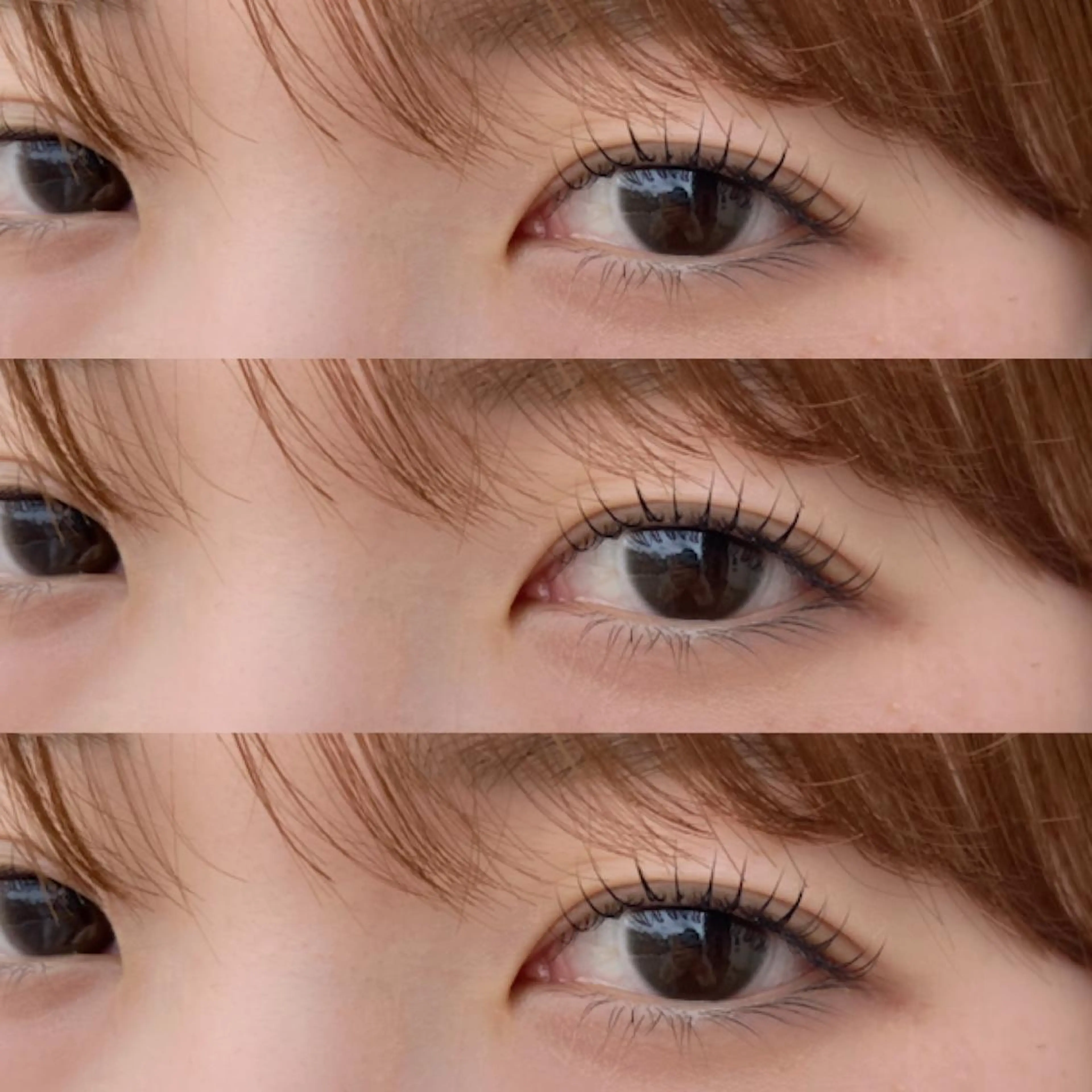 ã©ãã·ã¥ãªãã::ããæ°èŠæ§Â¥6000/ãªããŒã¿ãŒæ§Â¥6500ã®åç