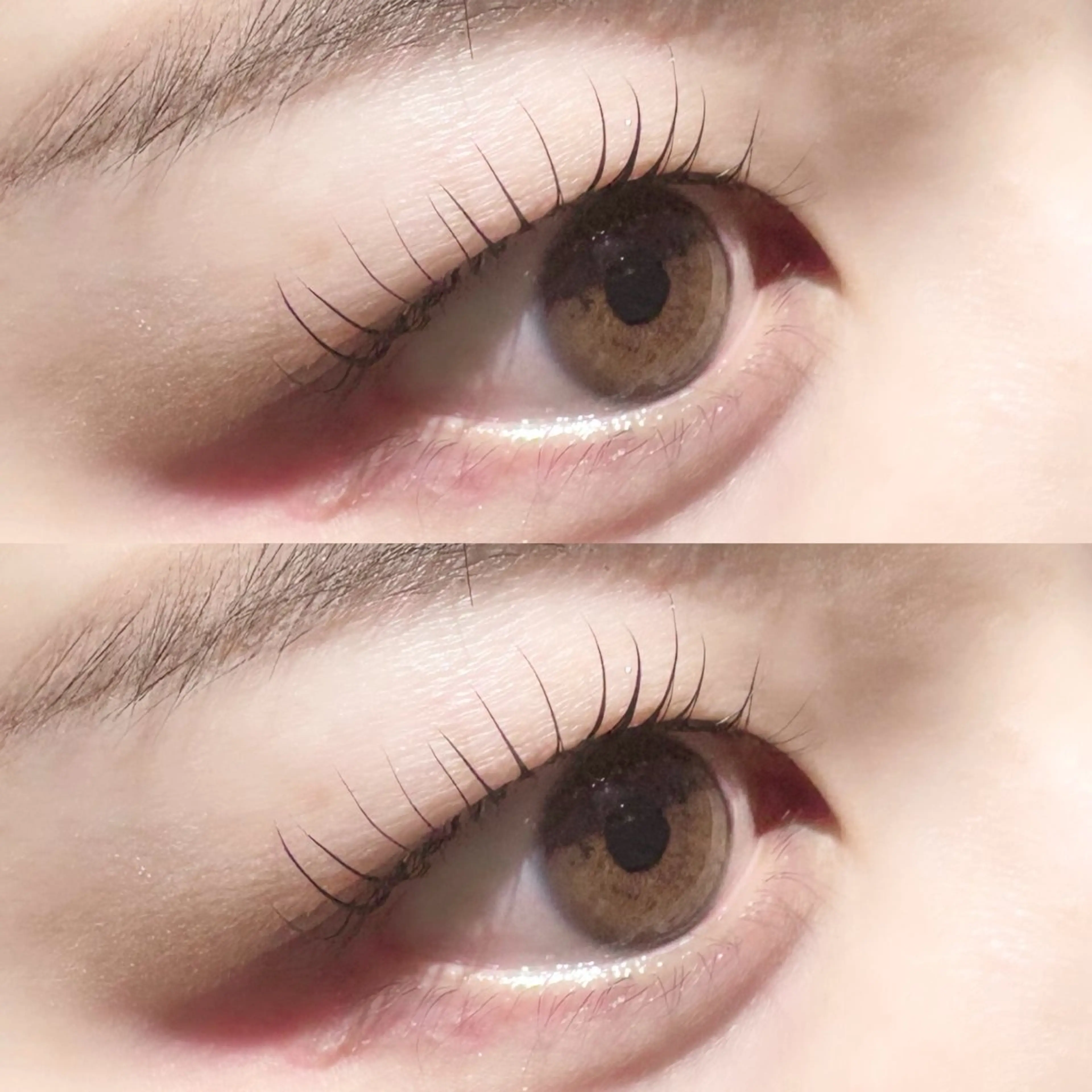 まつげパーマ🎀 ダメージレス薬剤使用🫧束感コーティング付き◎似合わせデザイン✨の写真