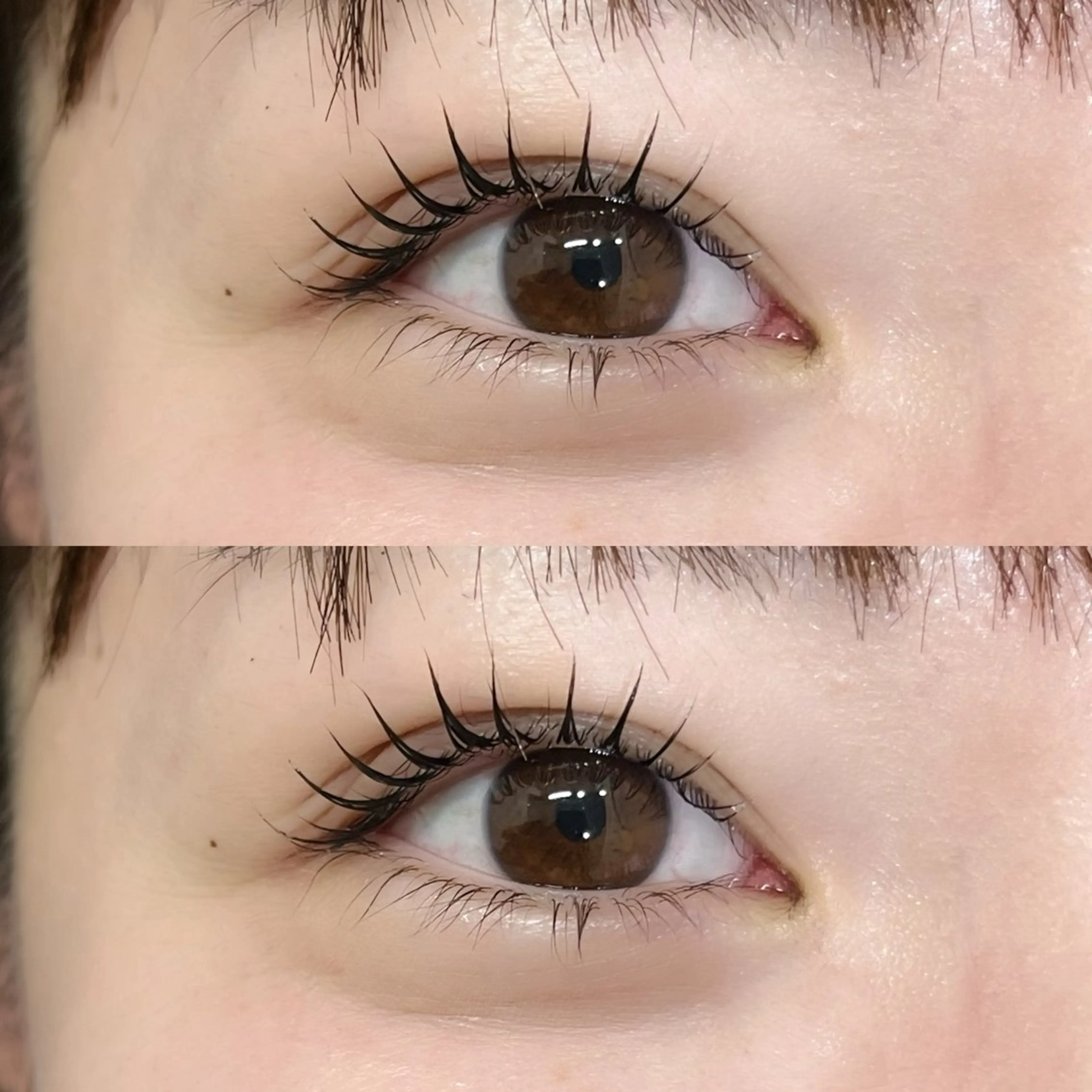 まつげパーマ🌙の写真