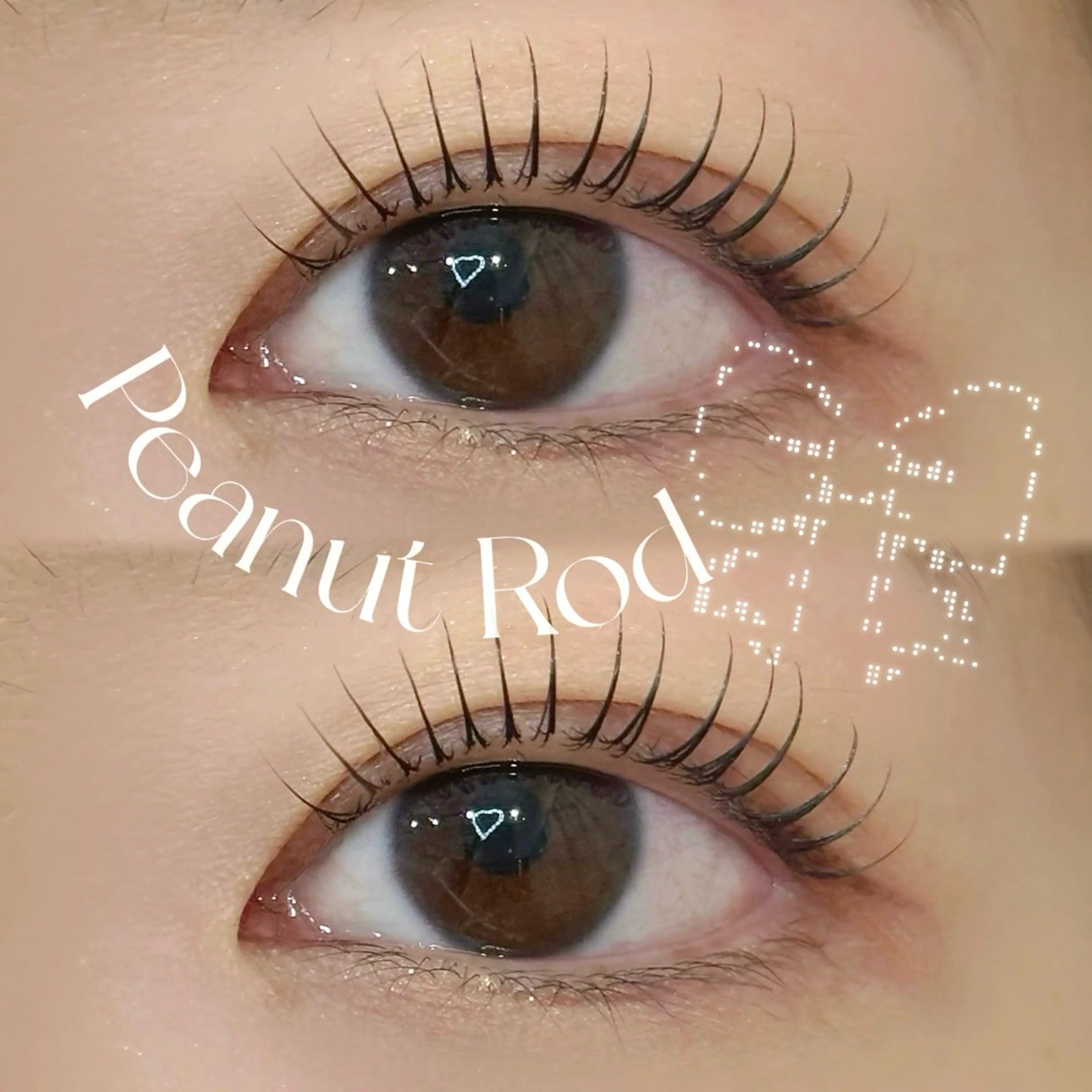 🎀【ご新規様価格】まつげパーマ(上)の写真