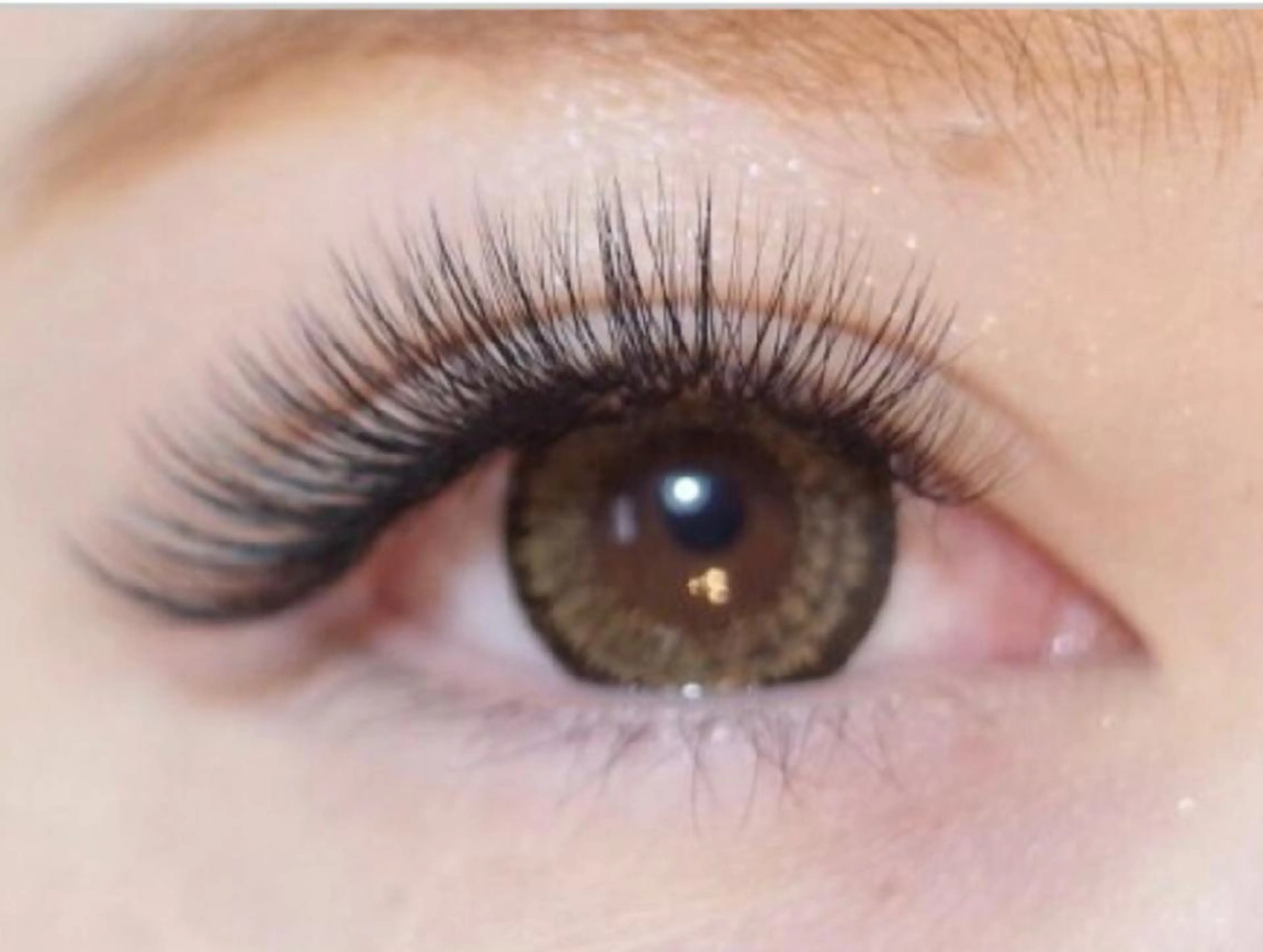 ★ 3Dボリュームラッシュ 付け放題(左右各100束まで)¥8500の写真