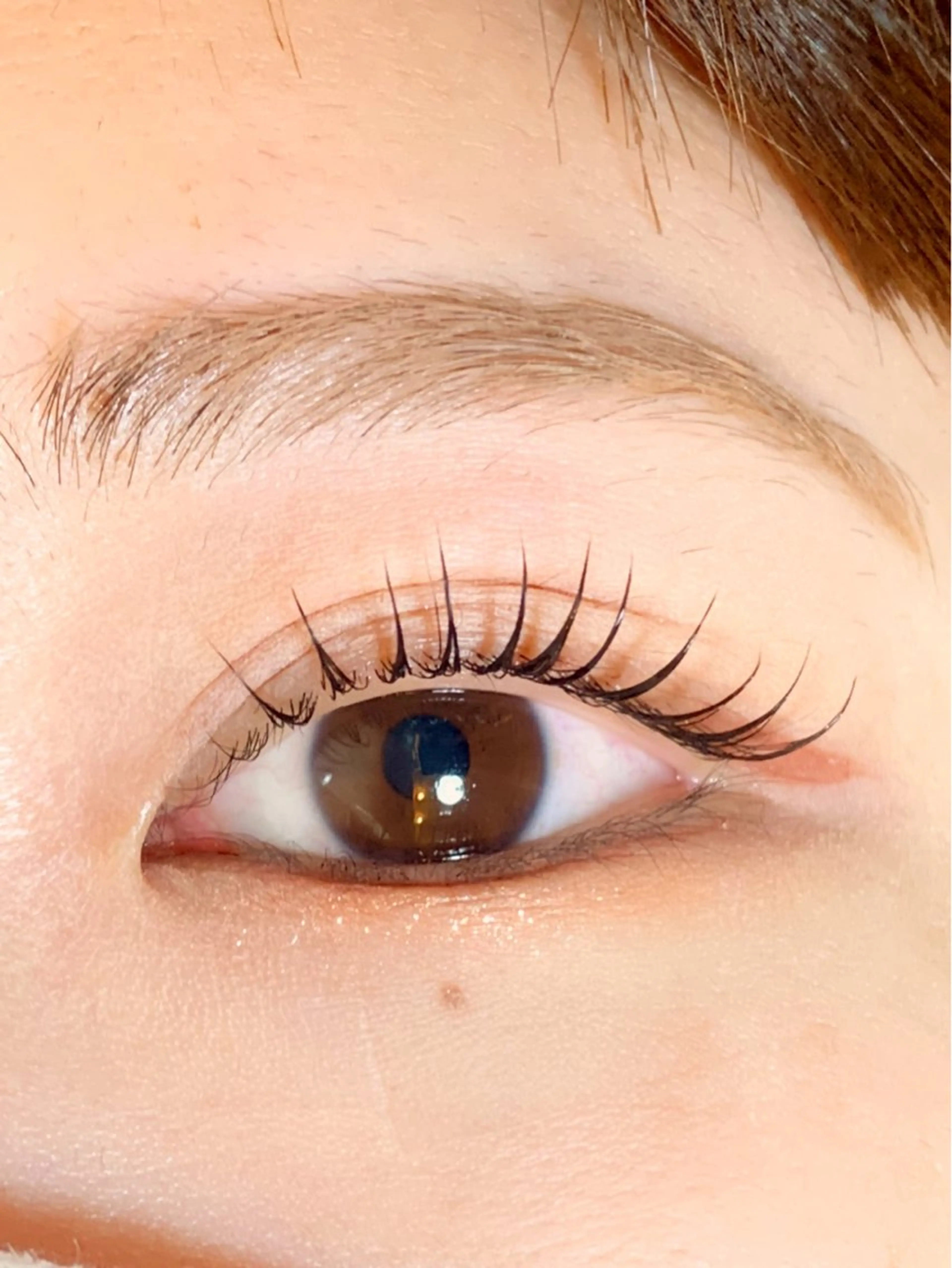 マツエク・マツパ 本町/北浜/淀屋橋 peTiT堀口のマツエク・マツパデザイン