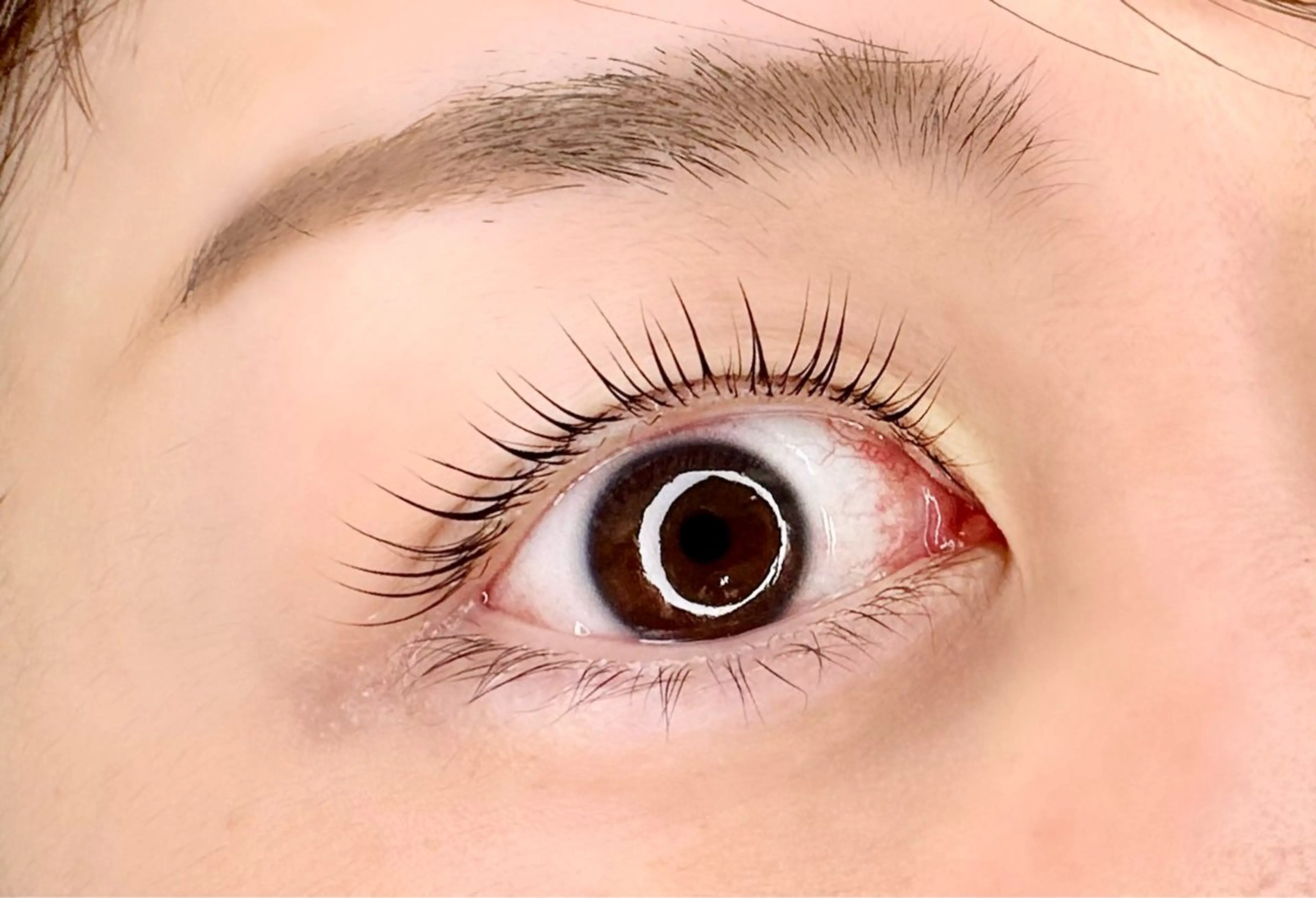 マツエク・マツパ まつげパーマ マツパ NINE🕊️ Rihoのマツエク・マツパデザイン