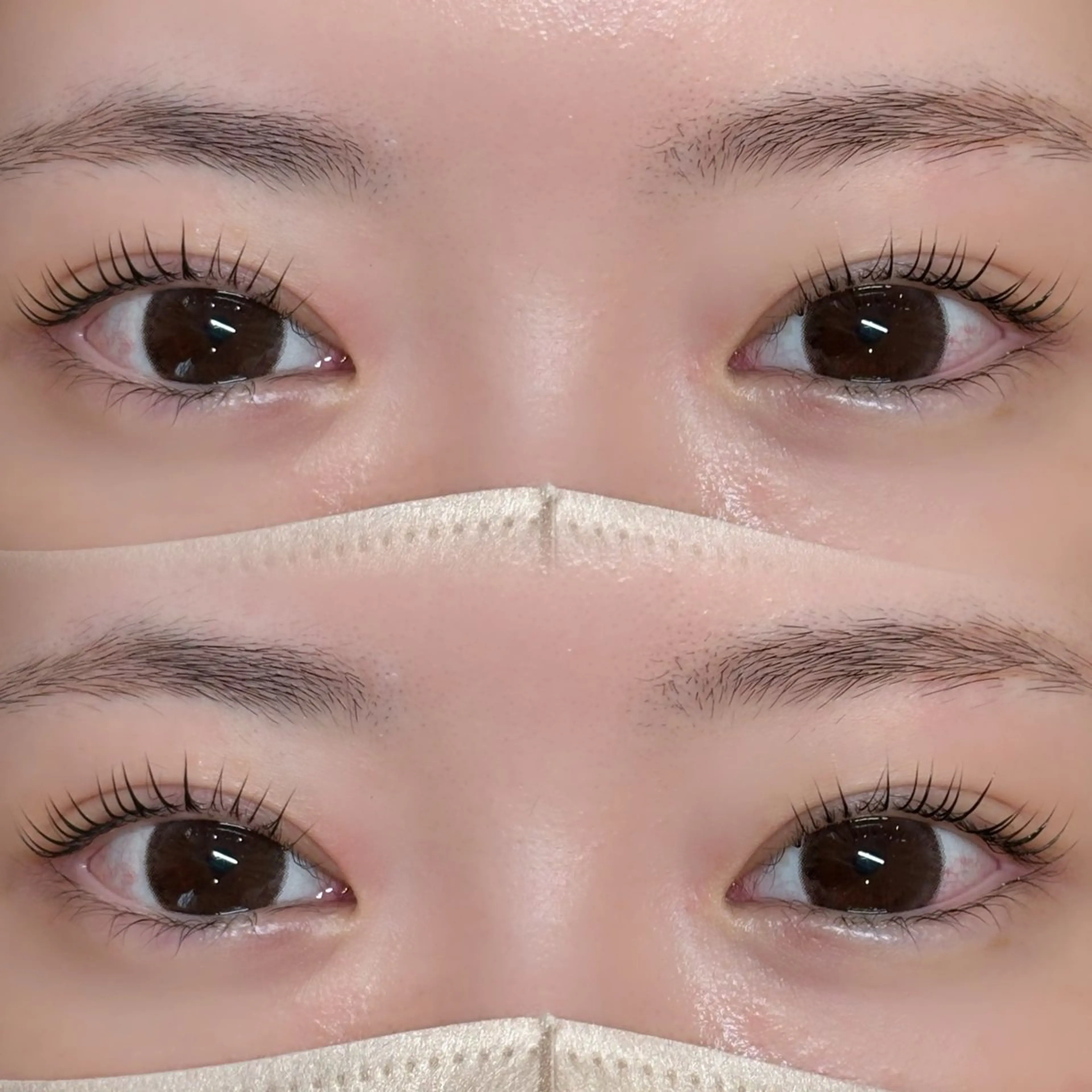 マツエク・マツパ パリジェンヌラッシュリフト アンドヘルシー/束感 /LED🩶MIYUのマツエク・マツパデザイン