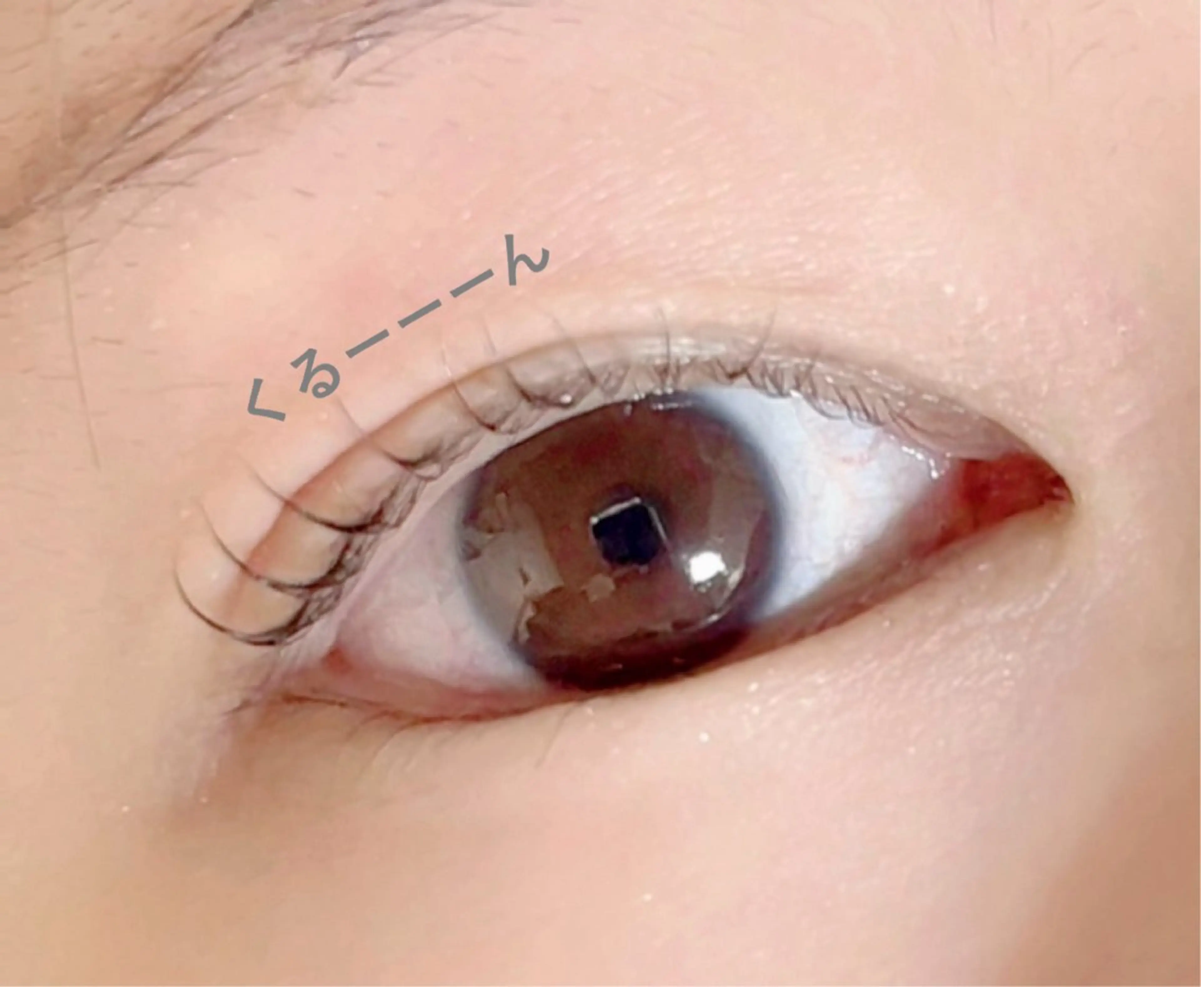 マツエク・マツパ パリジェンヌラッシュリフト まつげパーマ 🧸 Emiri🫧のマツエク・マツパデザイン