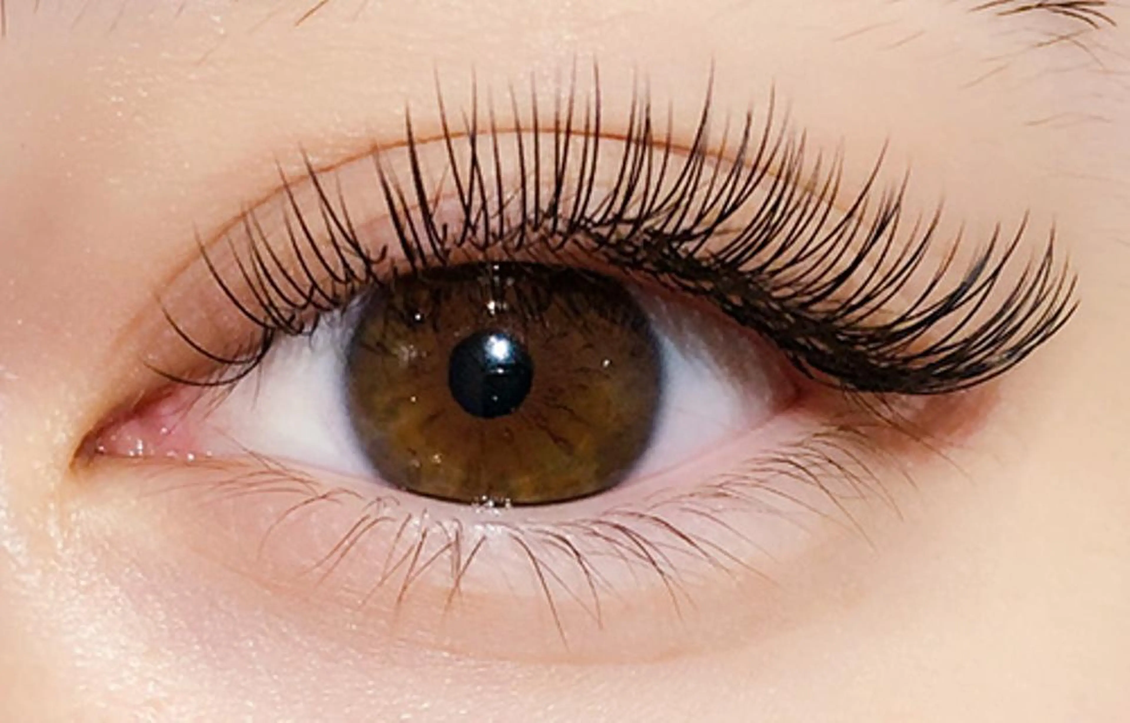 【無料モデル】最高級フラットラッシュ1時間つけ放題★なんとオフ無料🤍の写真