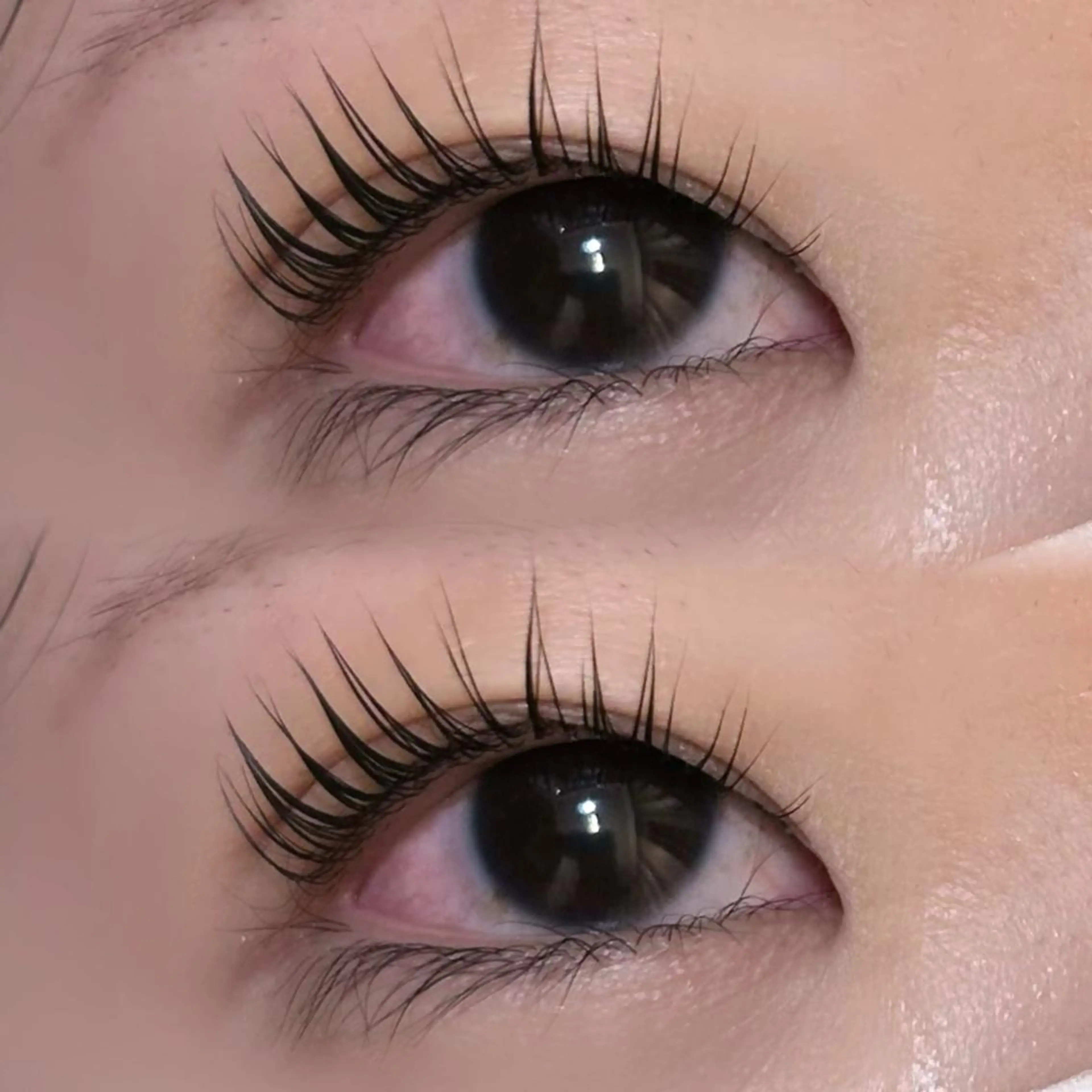 マツエク・マツパ パリジェンヌラッシュリフト 🦢✨fein. 原宿店✨🤍の眉毛・アイブロウイメージ