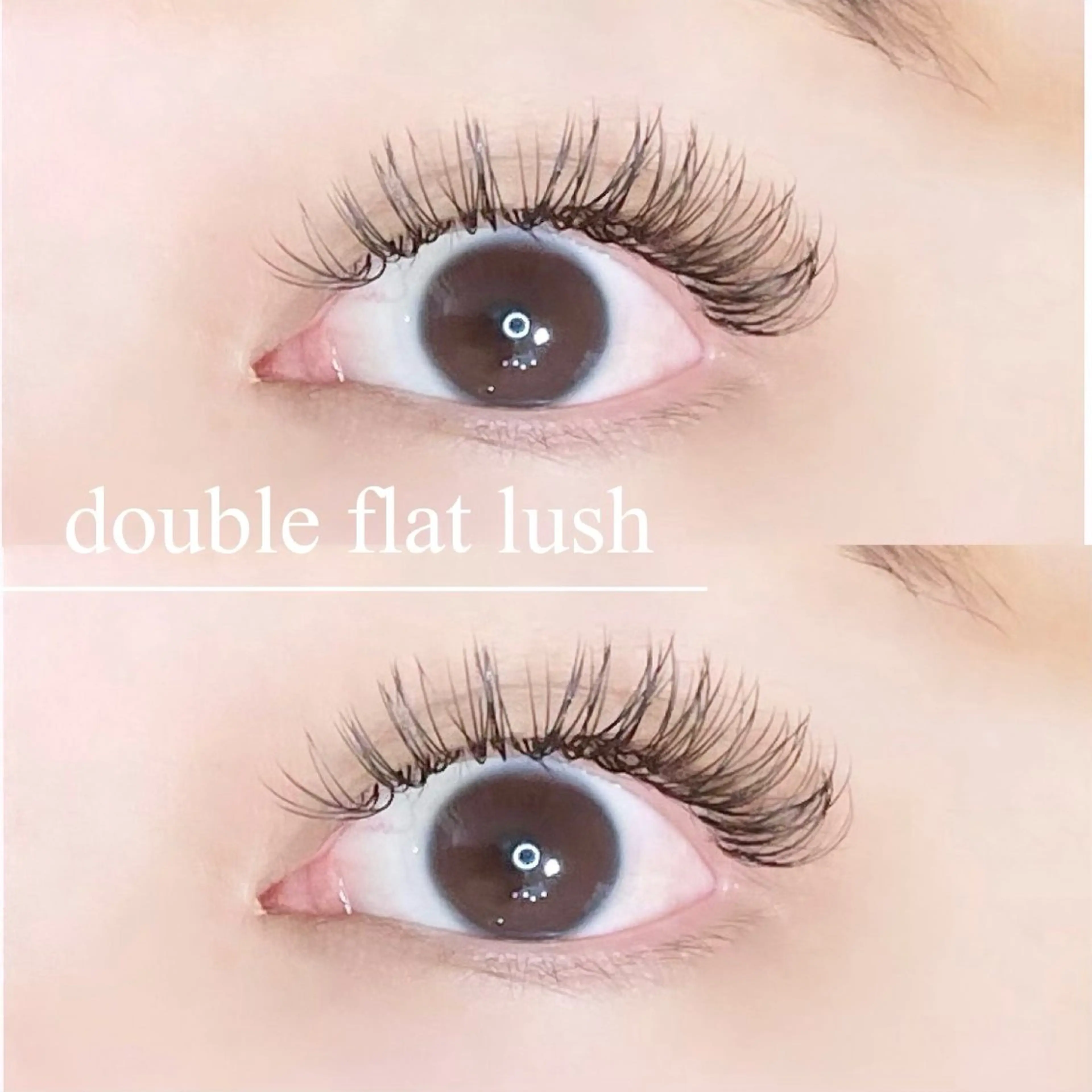 マツエク・マツパ フラットラッシュ Palm アイサロンパルムの眉毛・アイブロウイメージ