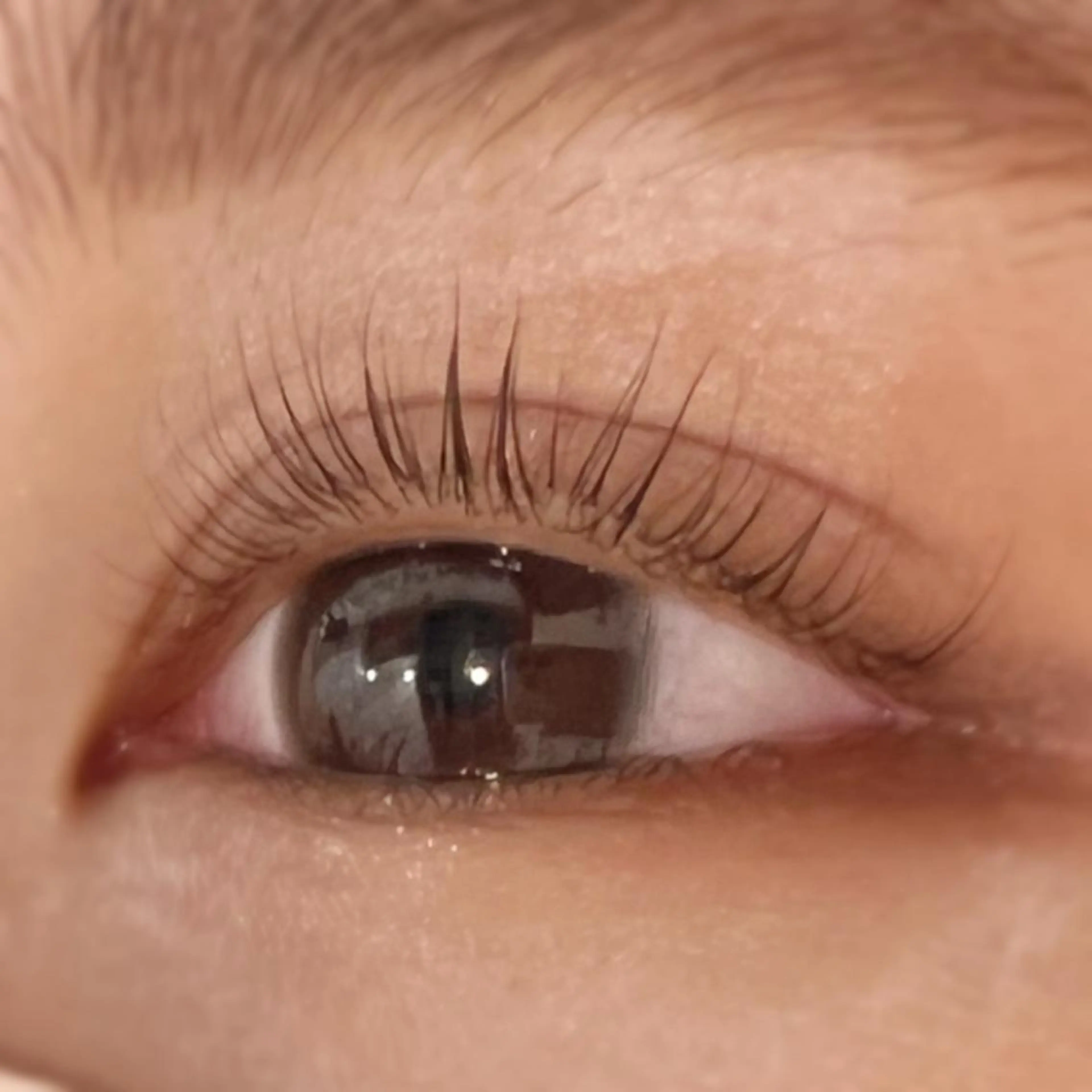 マツエク・マツパ unolash 京橋店所属・unolash (ウノラッシュ)京橋のマツエク・マツパデザイン