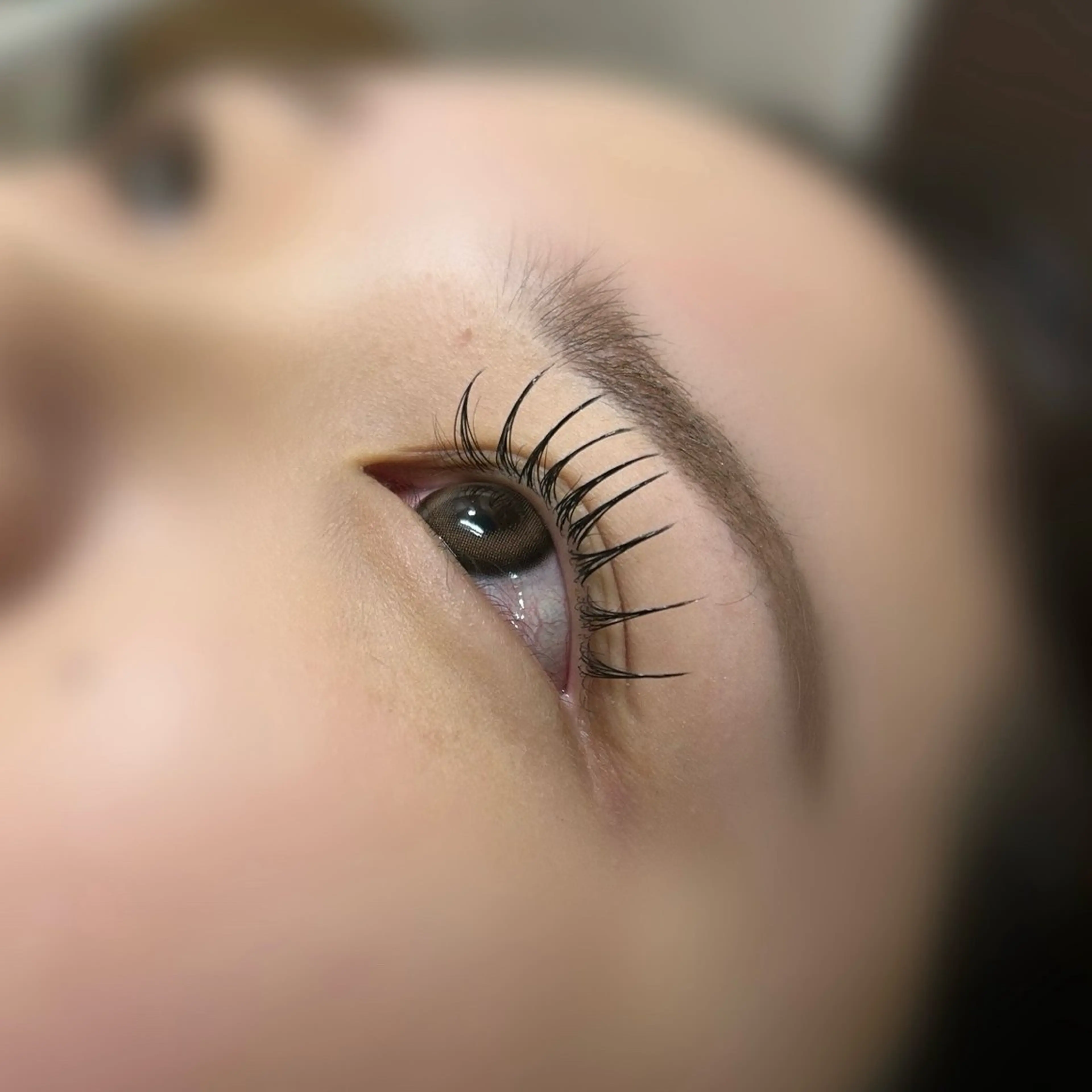 フラットラッシュ160本の写真