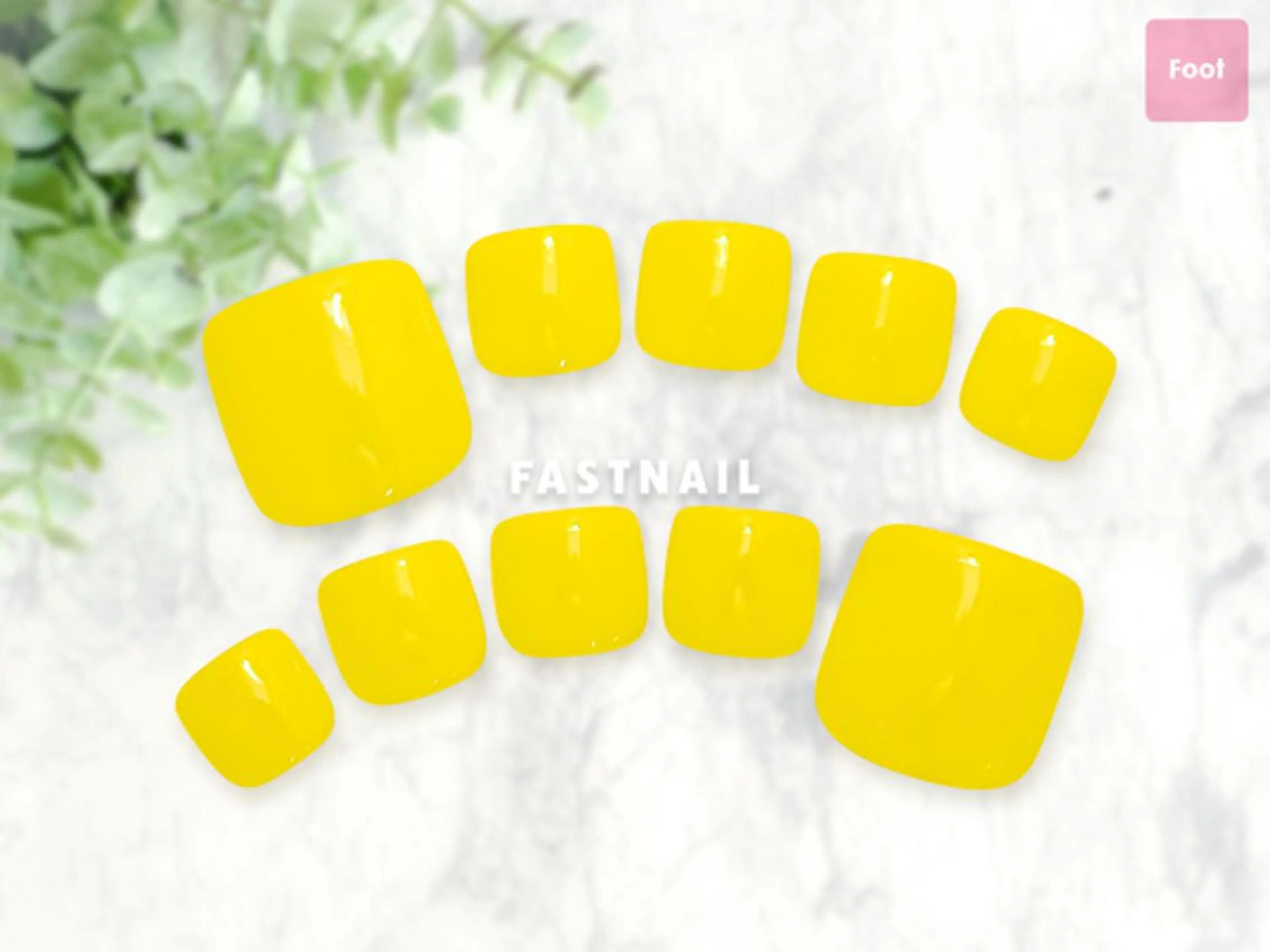 【フットオフなし】 🐾ワンカラーの写真