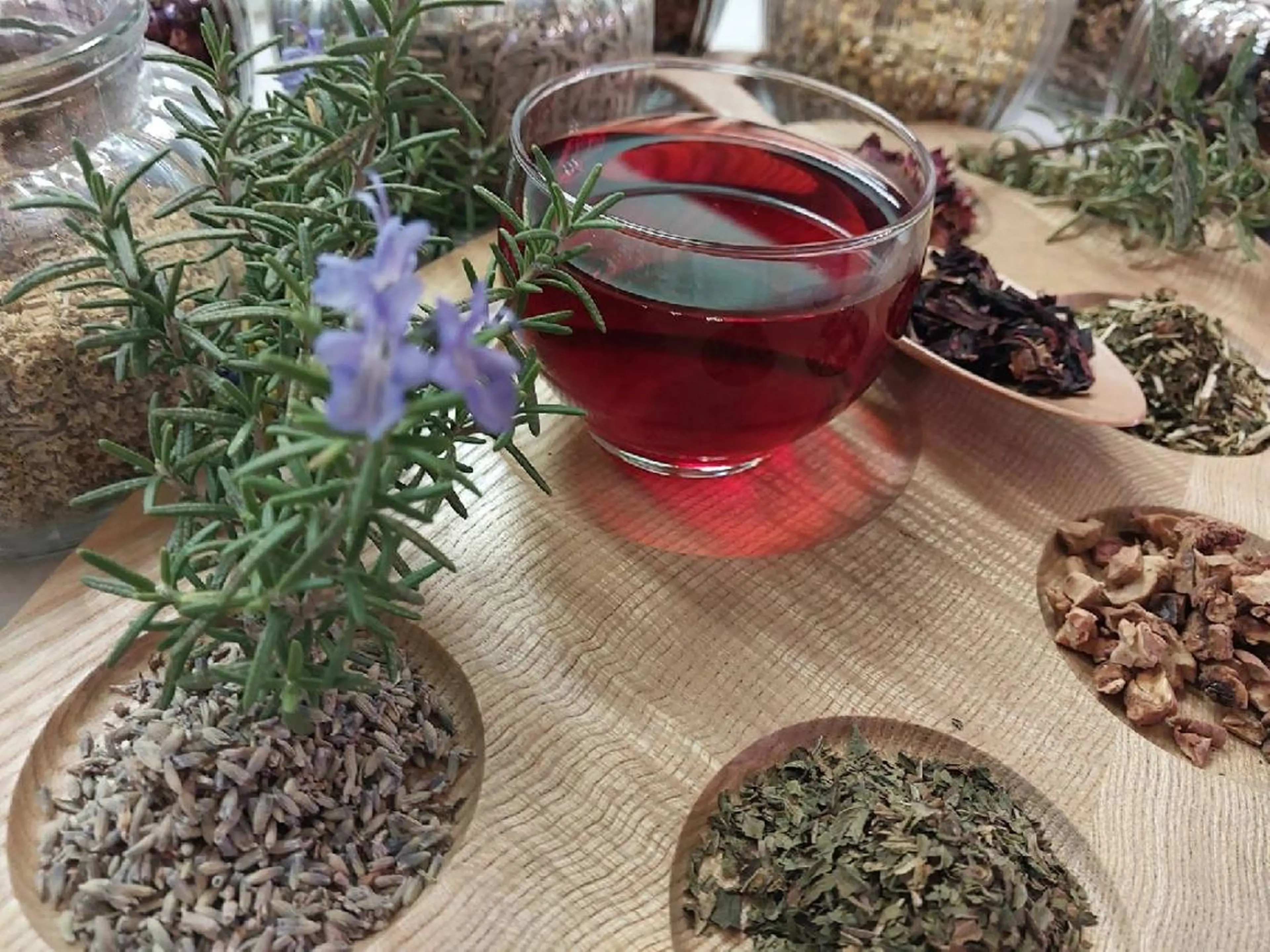 エンダモロジー専門店HERBS所属・エンダモロジー専門店 HERBSとやま店長のエステ・リラクイメージ