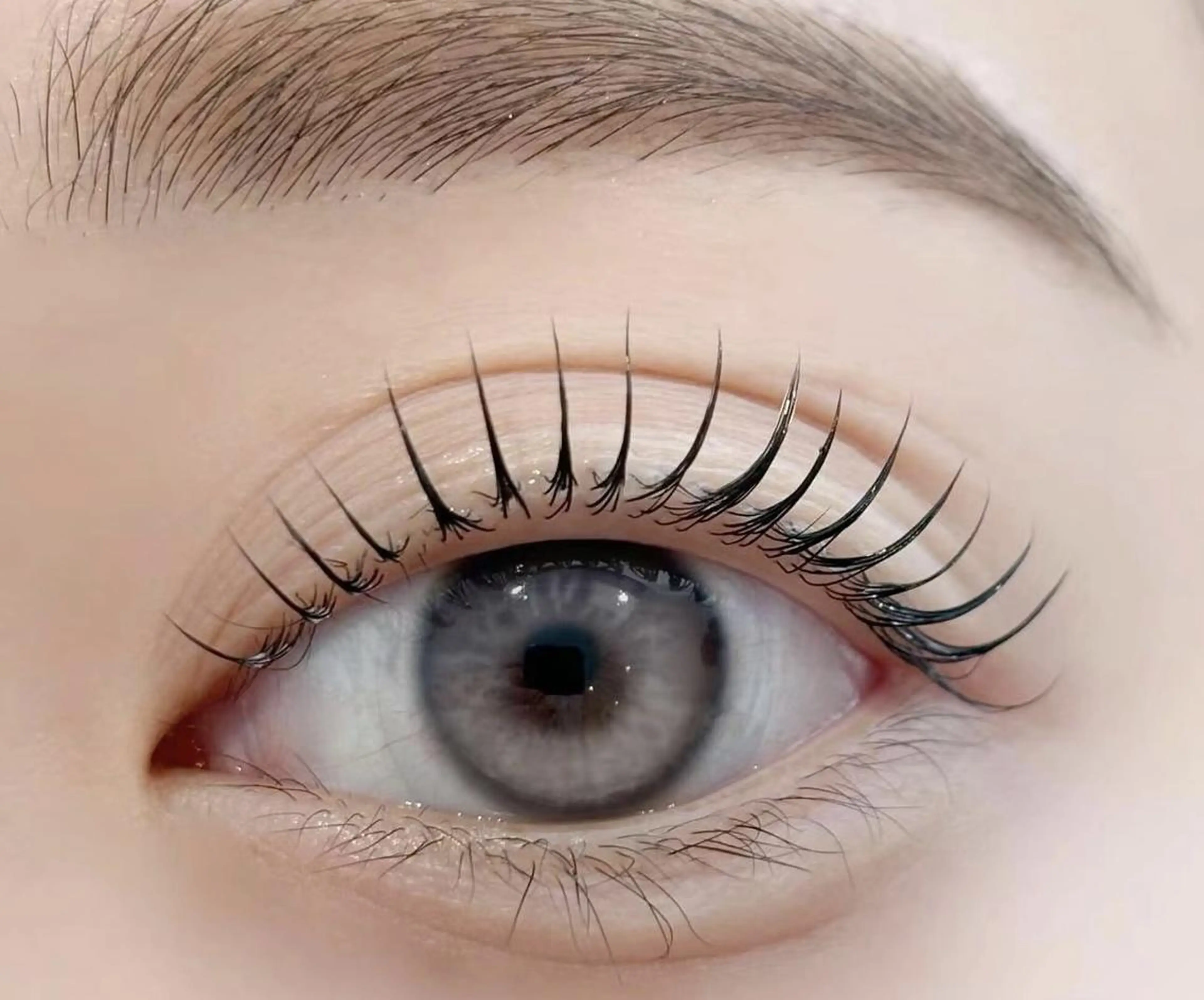 韓国式まつ毛パーマ上のみ ¥4000の写真