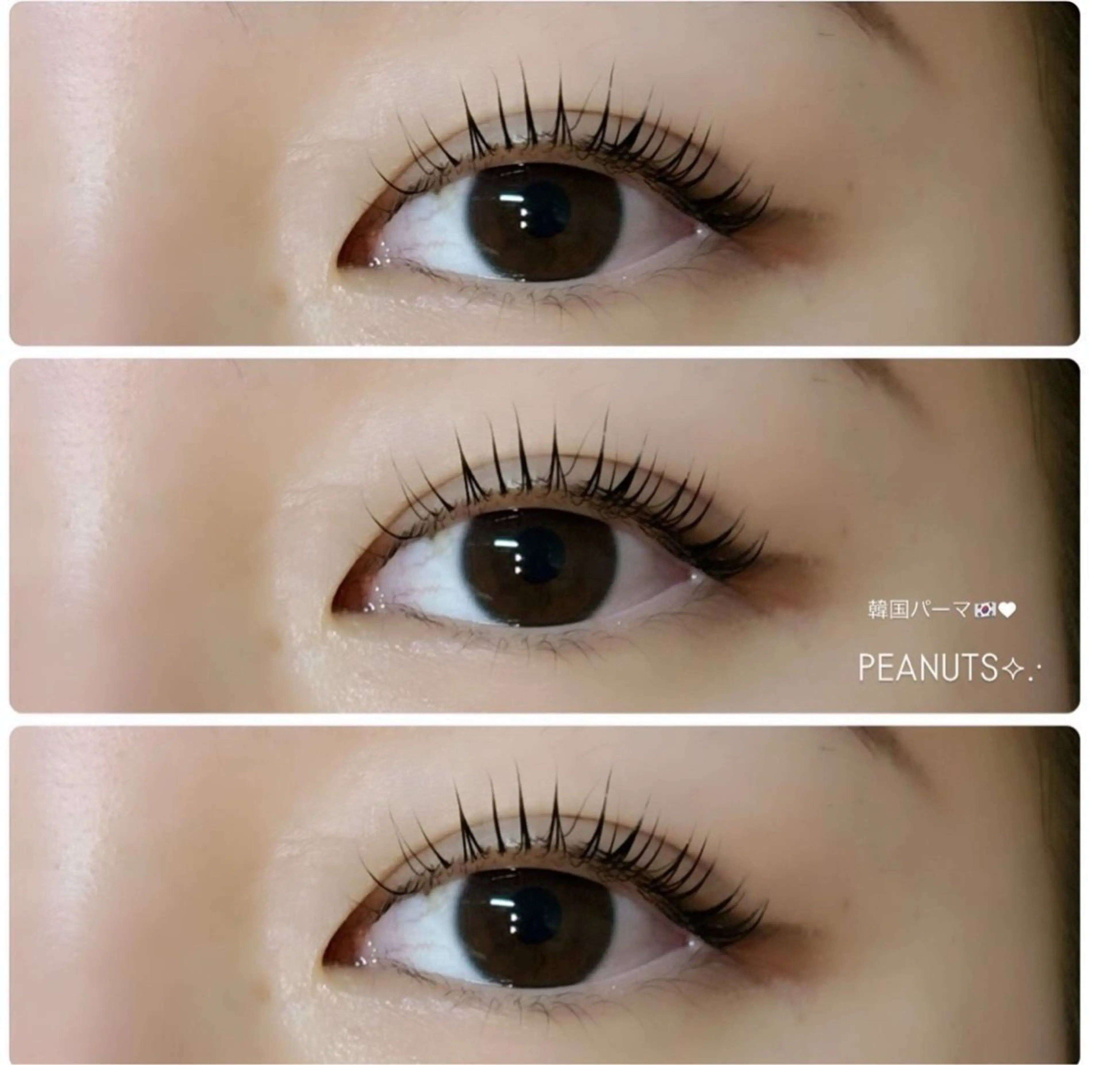 マツエク・マツパ sakura ⋆˚ʚɞのマツエク・マツパデザイン