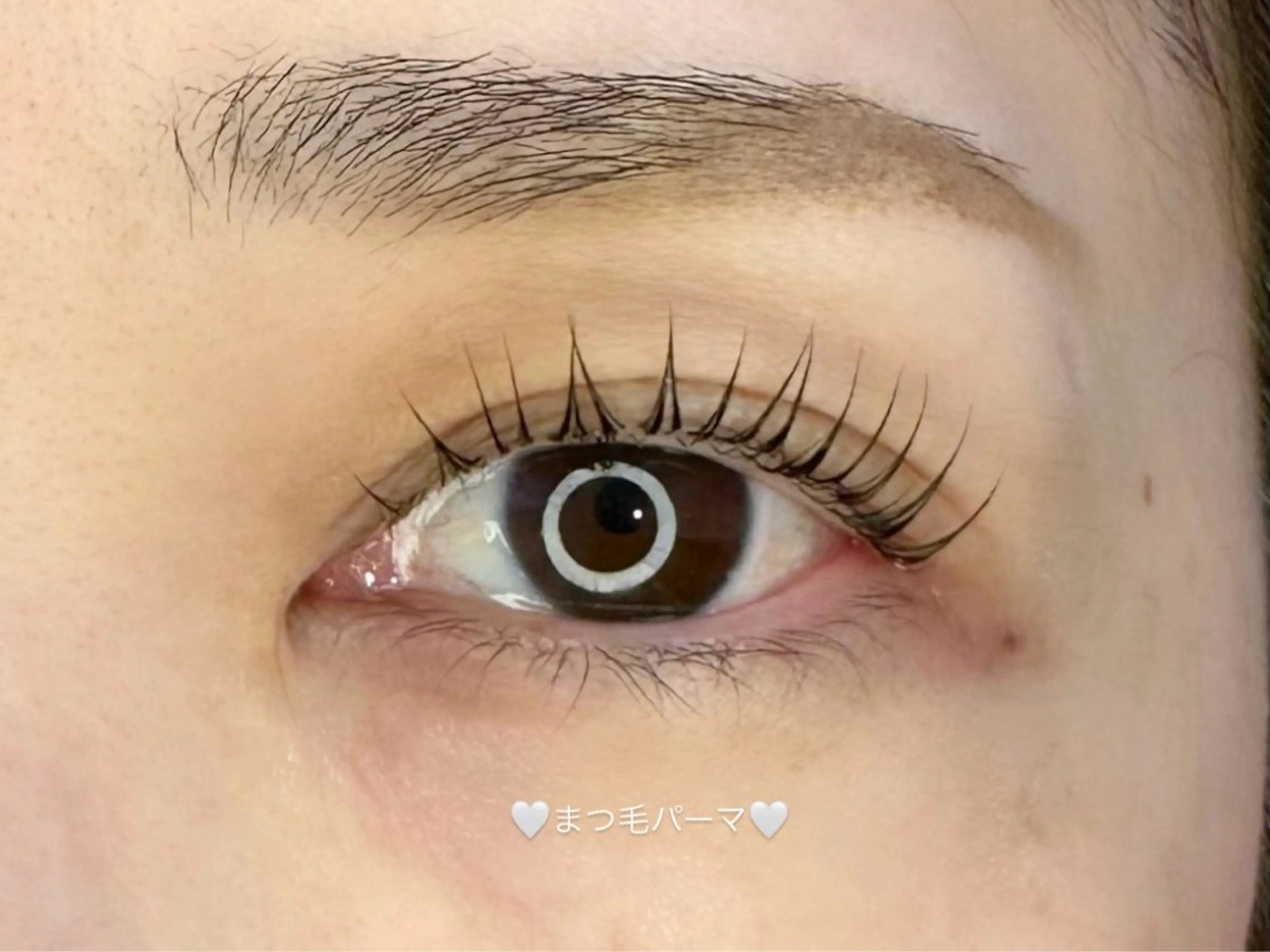 【 キャンペーン価格 】まつ毛パーマ🪽コーティング仕上げ付♡の写真