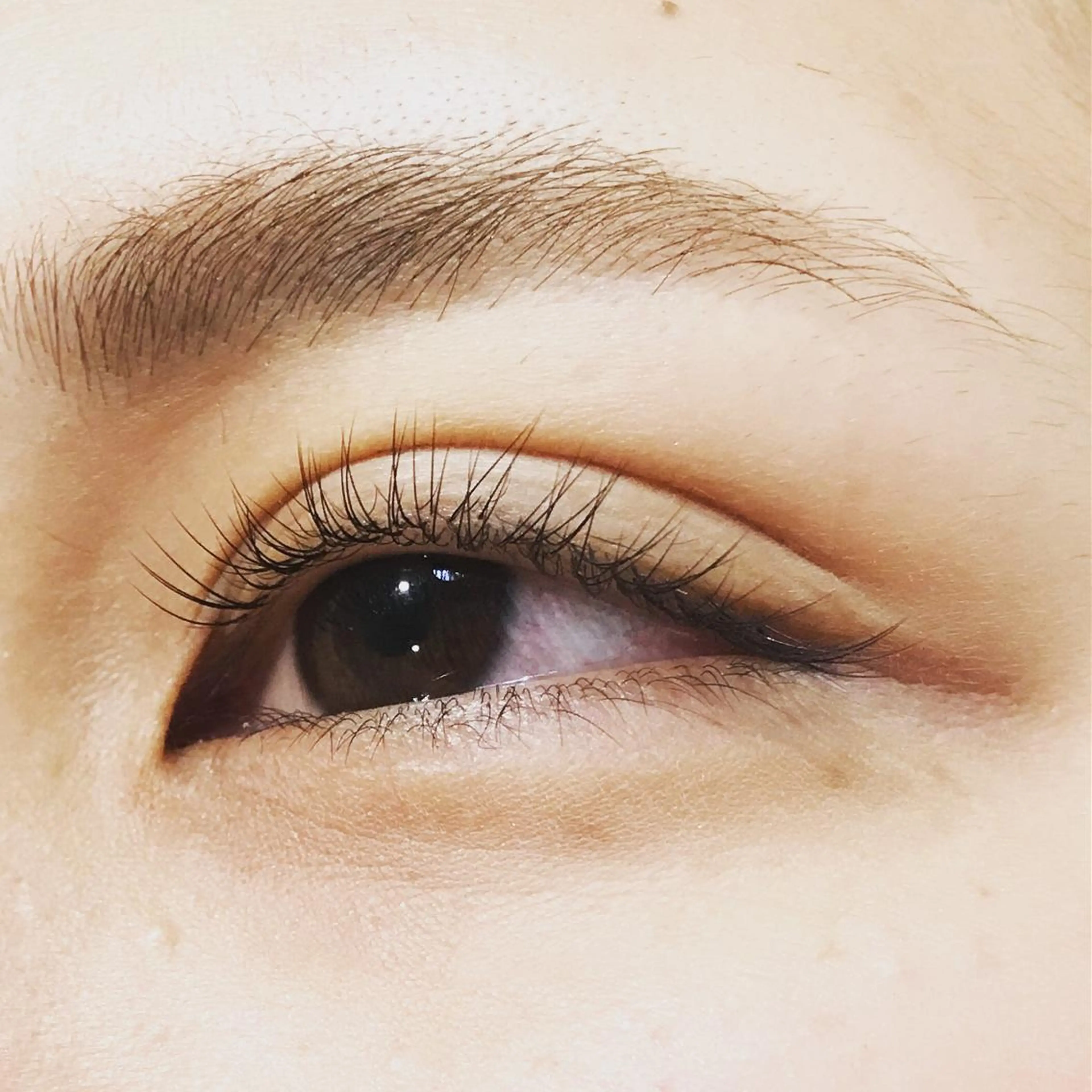 マツエク・マツパ フラットラッシュ にっくに ちひろの眉毛・アイブロウイメージ