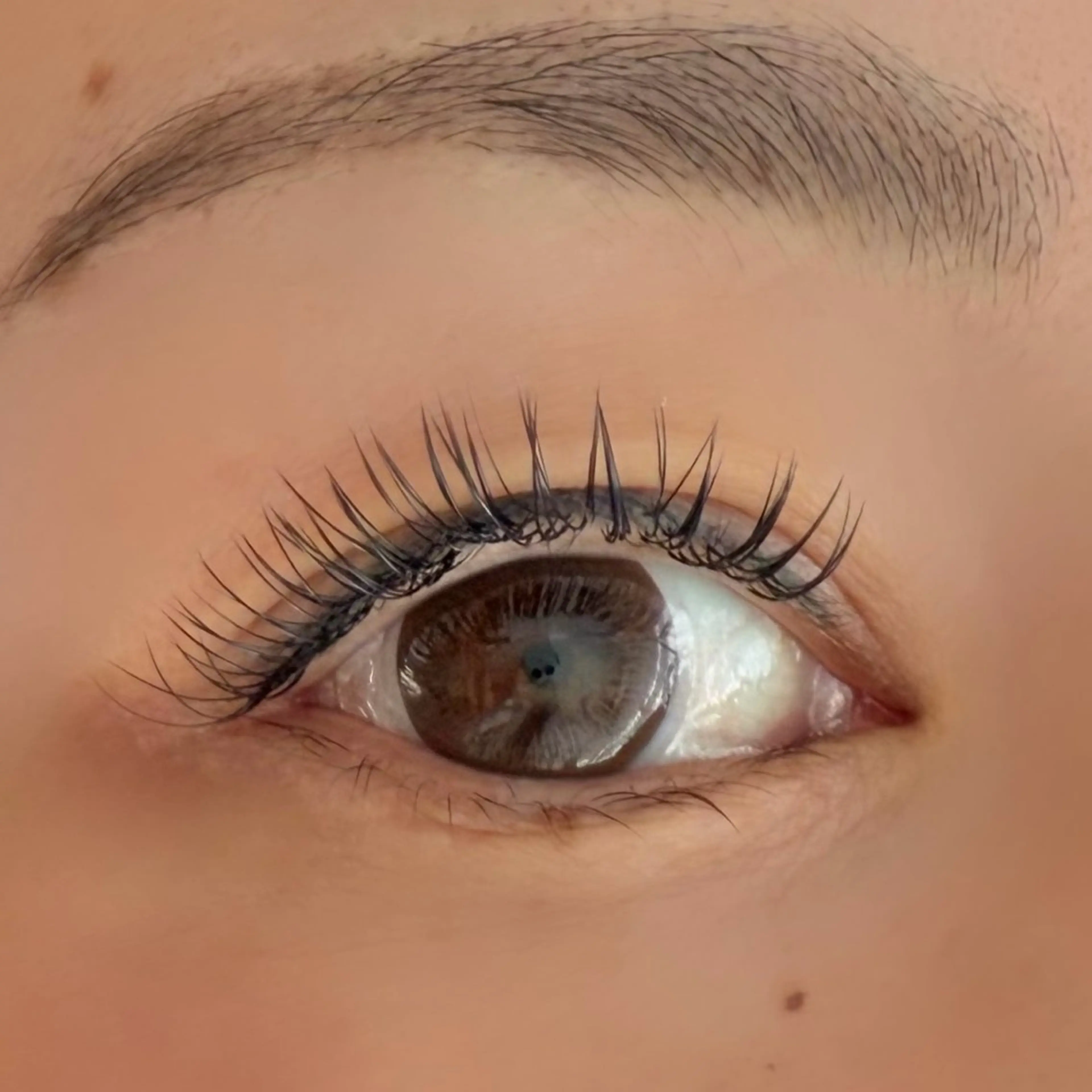 マツエク・マツパ Cカール フラットラッシュ chaleureux 【シャルルー】のマツエク・マツパデザイン