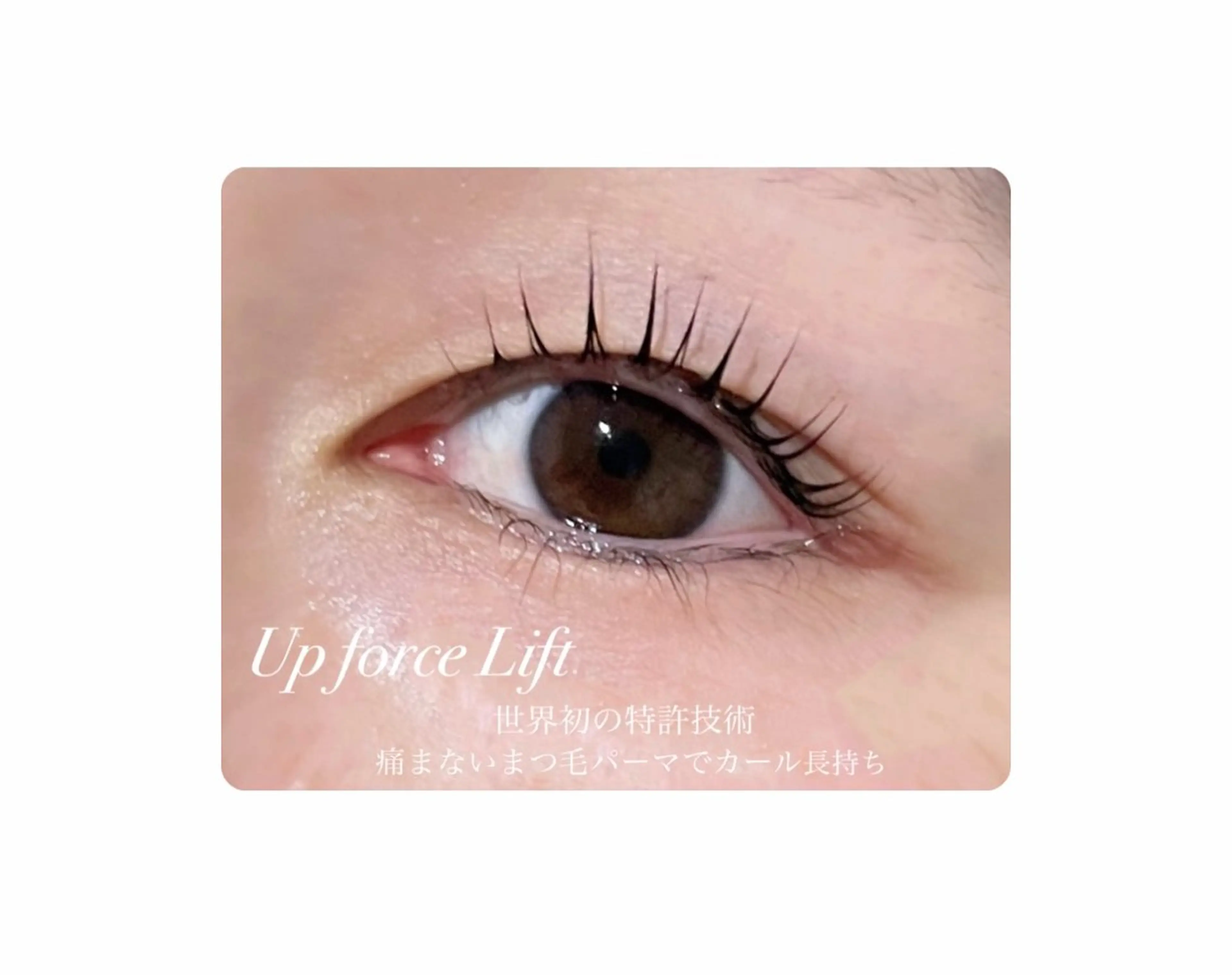 マツエク・マツパ 🤍下村 絢香🤍のマツエク・マツパデザイン