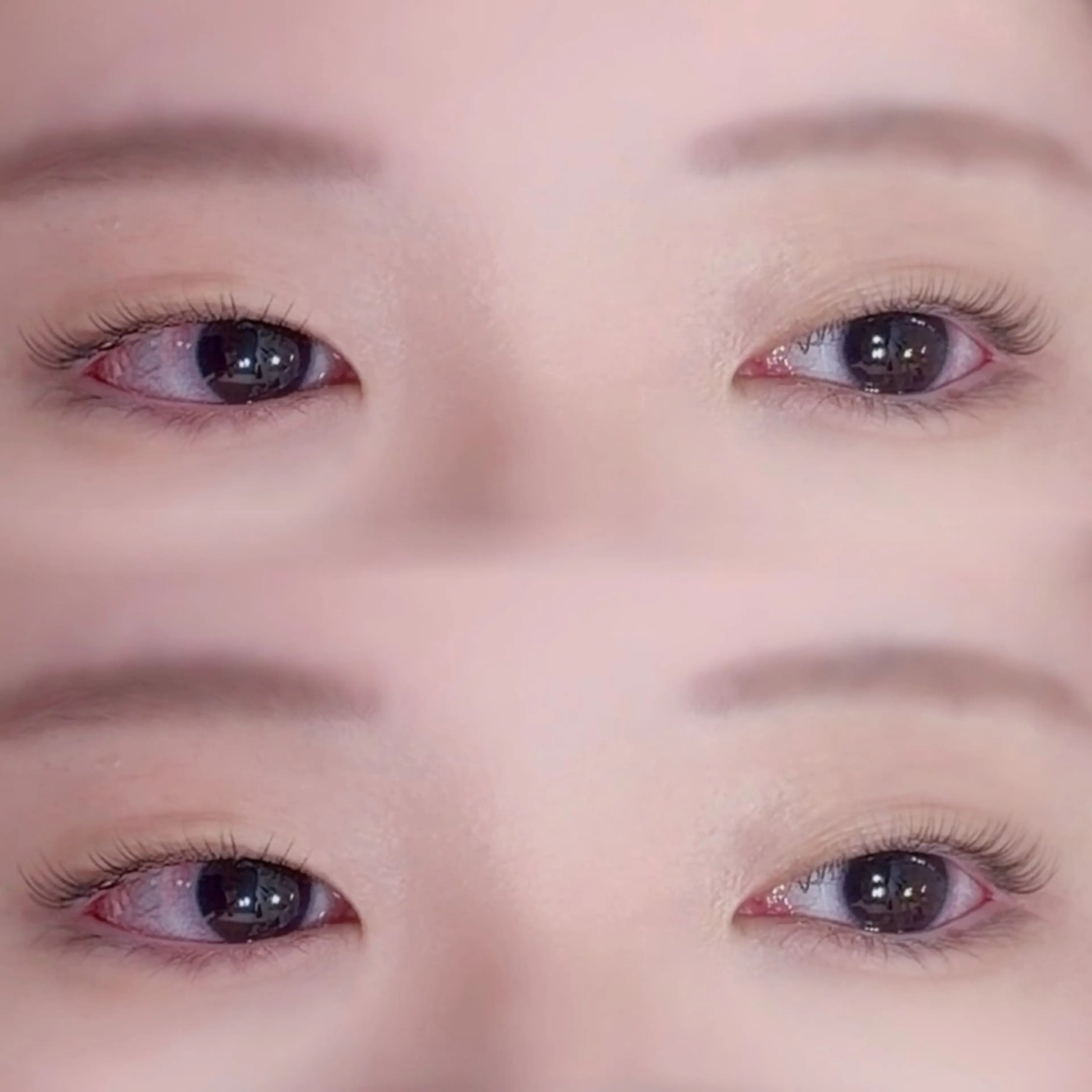 マツエク・マツパ マツパ rich  to 三田のマツエク・マツパデザイン