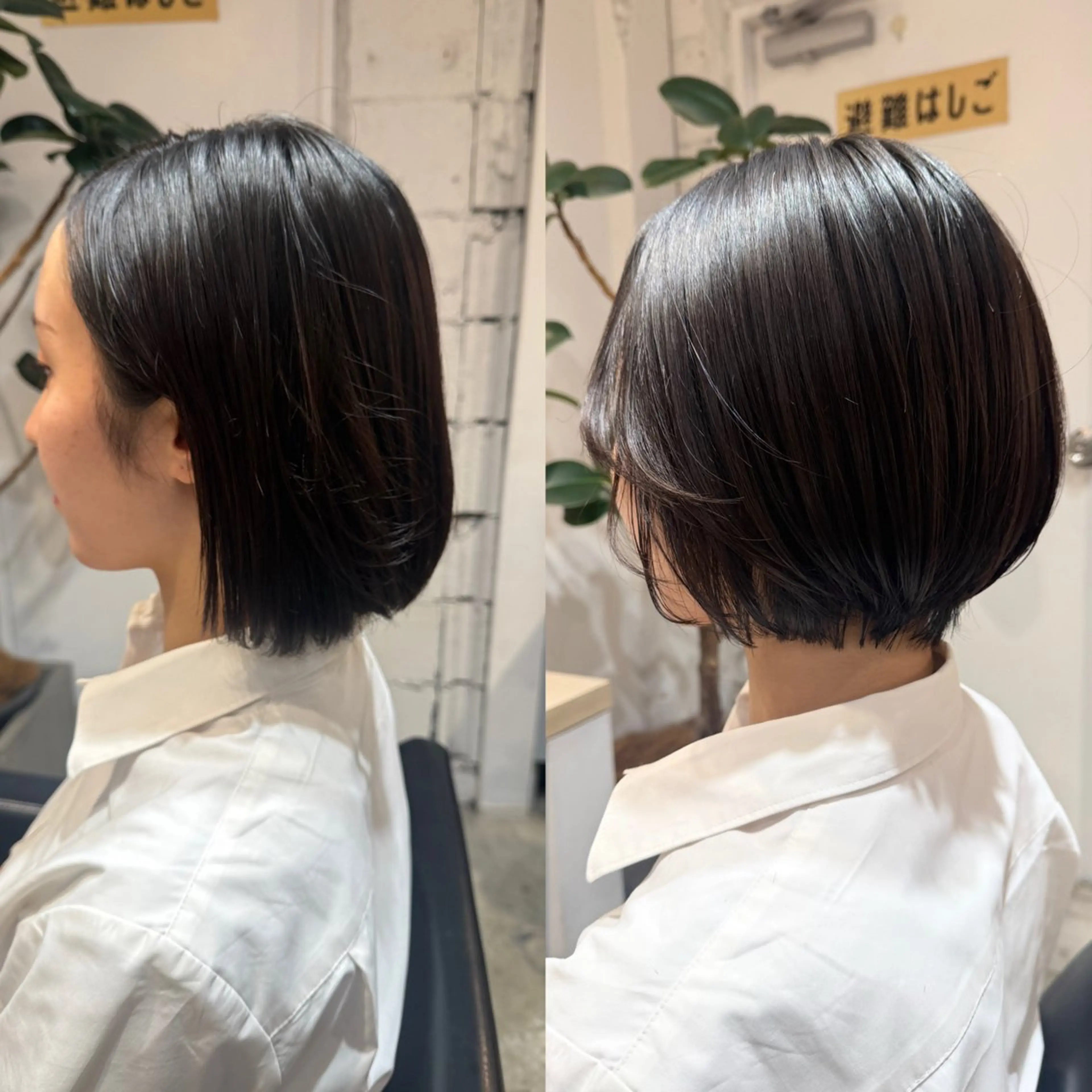 ショート 伊藤 まみのヘアスタイル