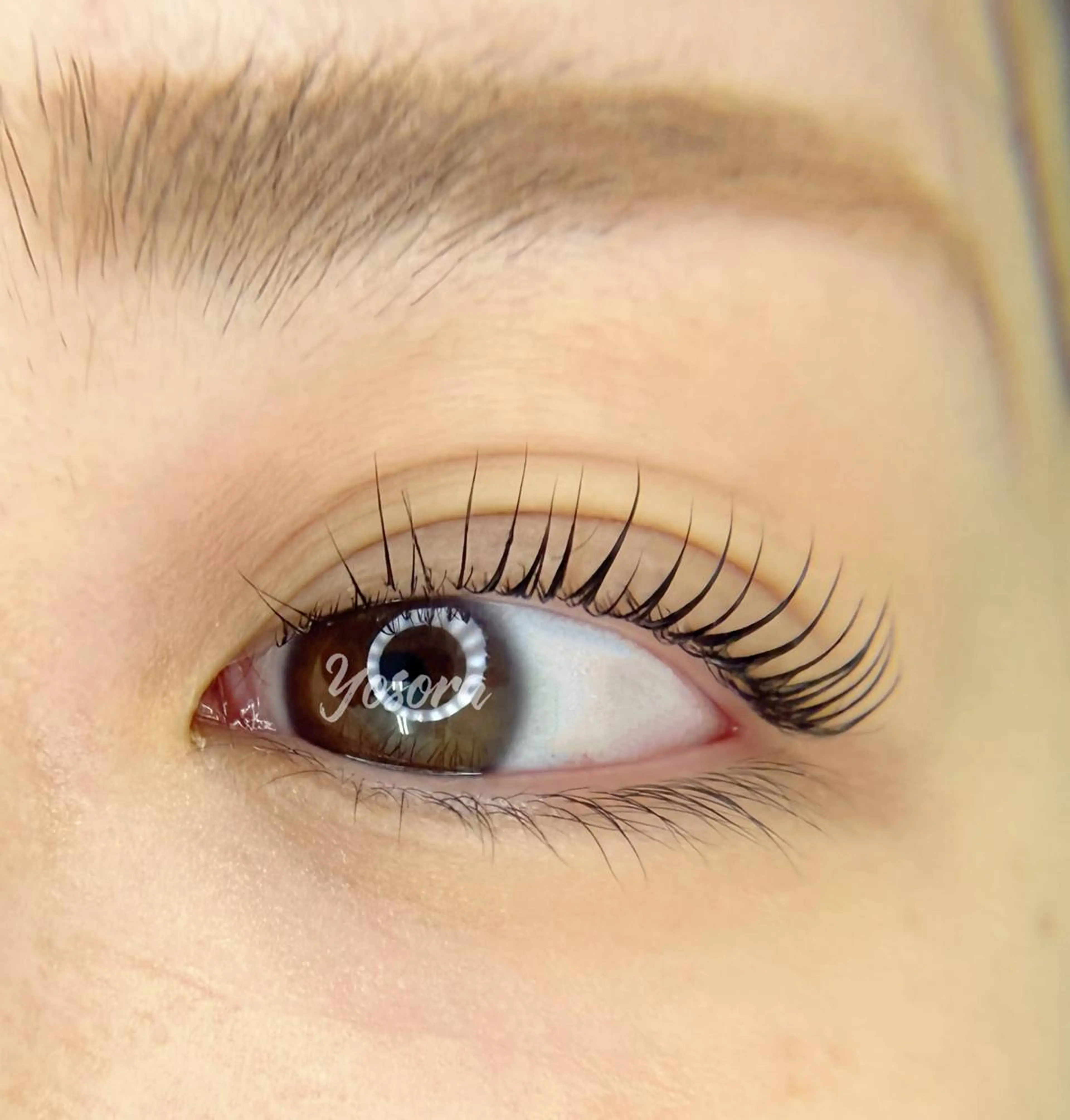 マツエク・マツパ 一重×まつ毛パーマ マツパ Yosora salonのマツエク・マツパデザイン