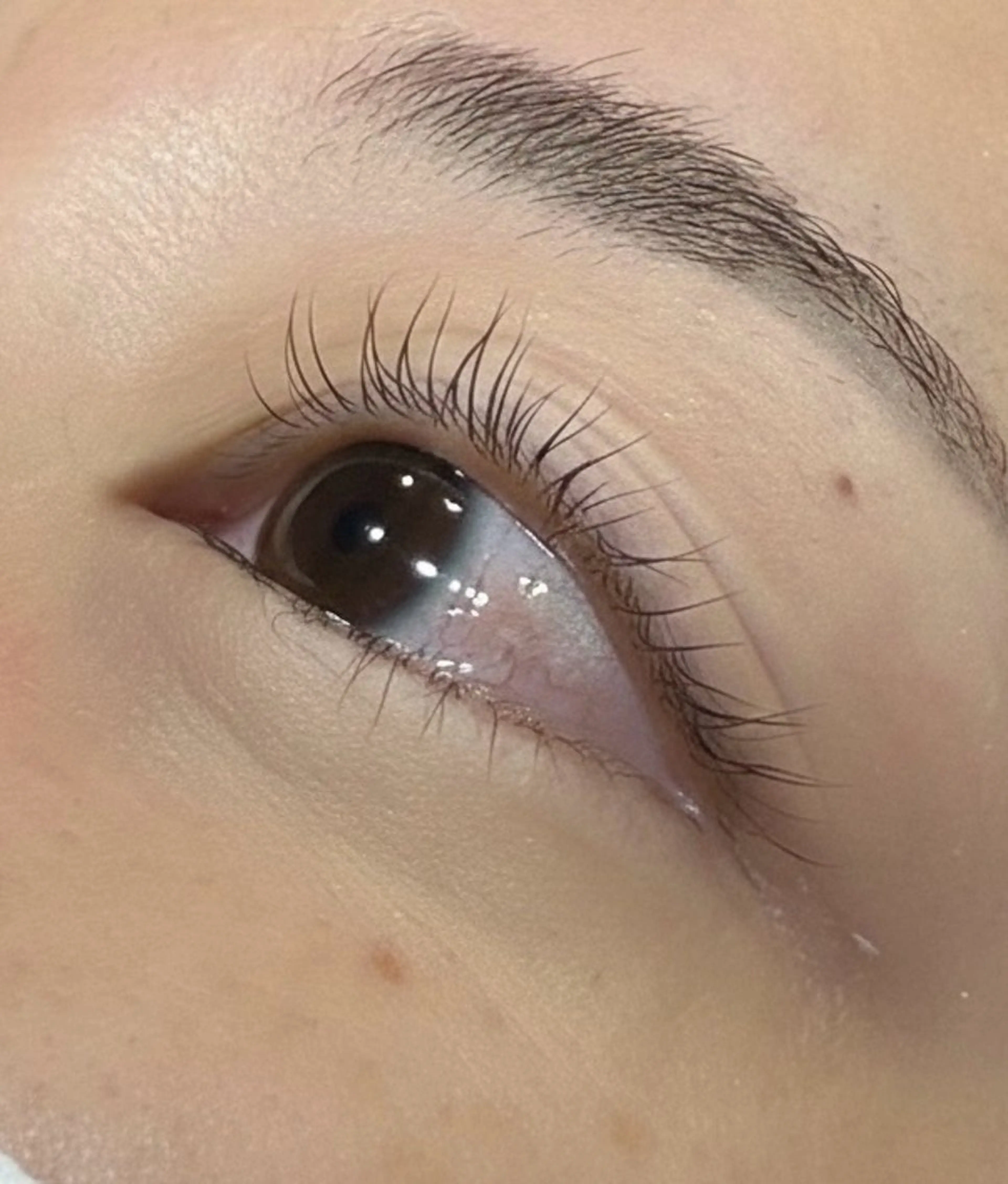 マツエク・マツパ マツパ 🕊ユメノ🕊まつパ 特別価格あり☁️のマツエク・マツパデザイン