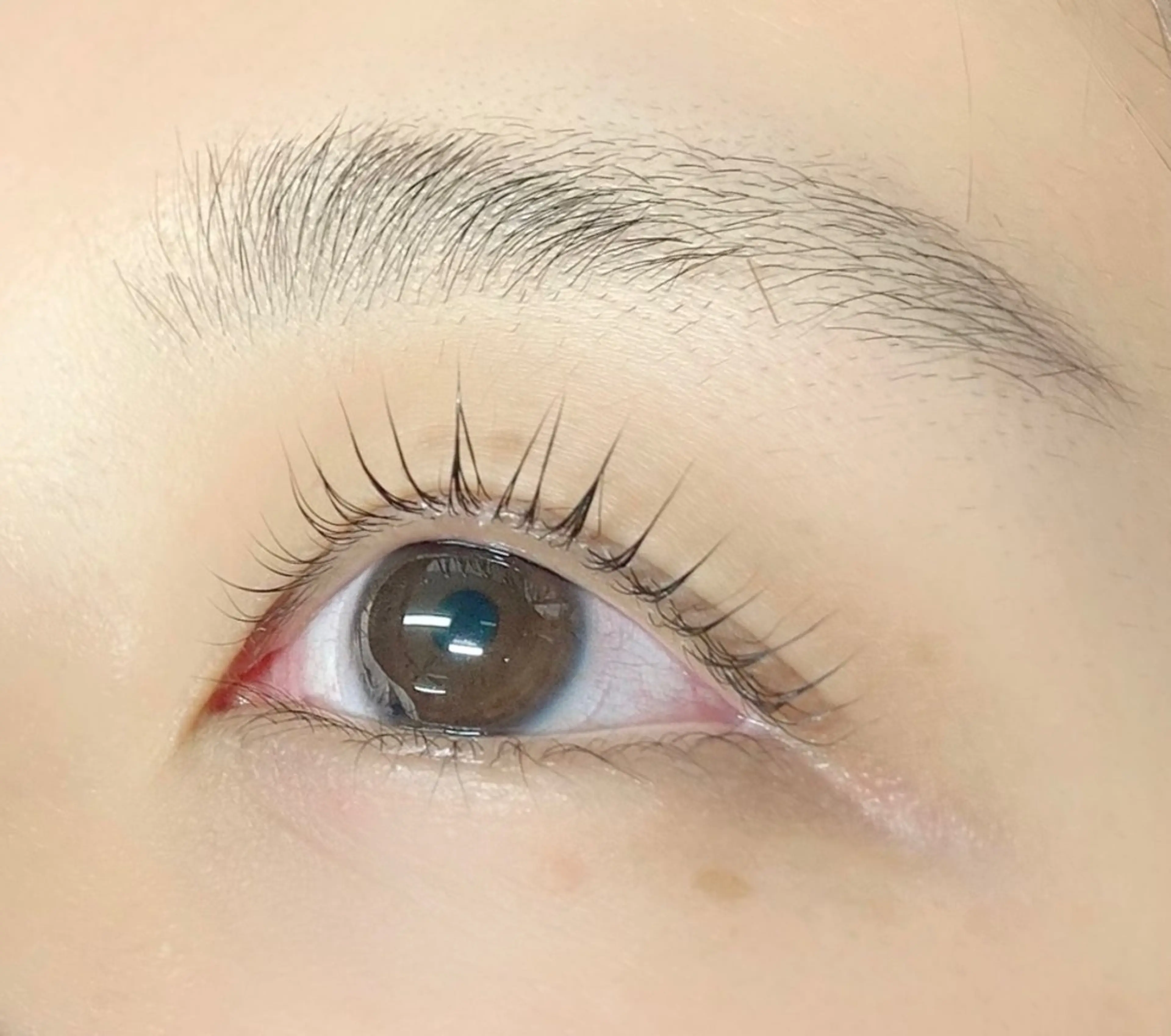 マツエク・マツパ Amira/アミーラ YU-KA🤍のマツエク・マツパデザイン