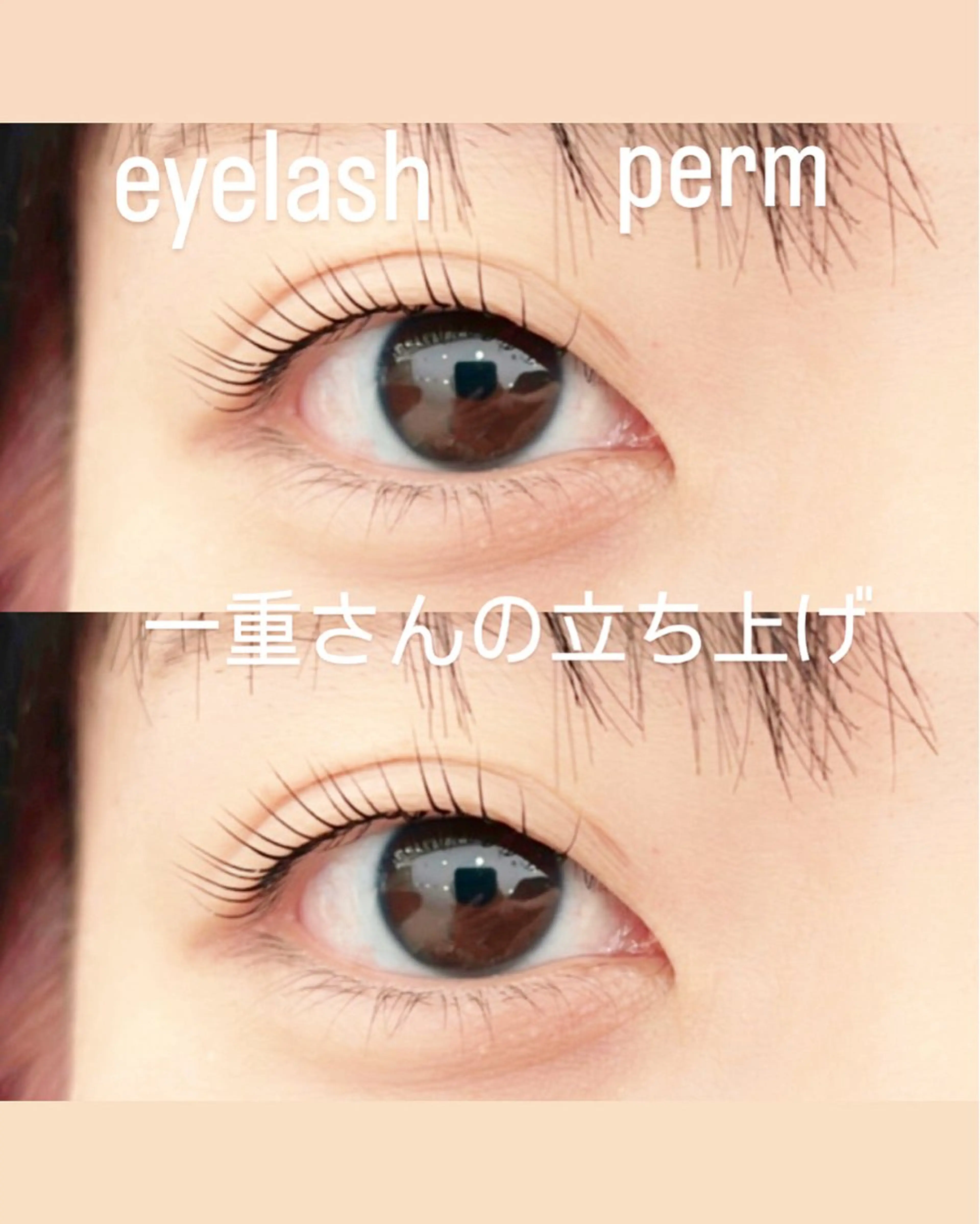 マツエク・マツパ 一重×まつ毛パーマ マツパ GranCieux 水戸/まつパ🧡黒柳の眉毛・アイブロウイメージ