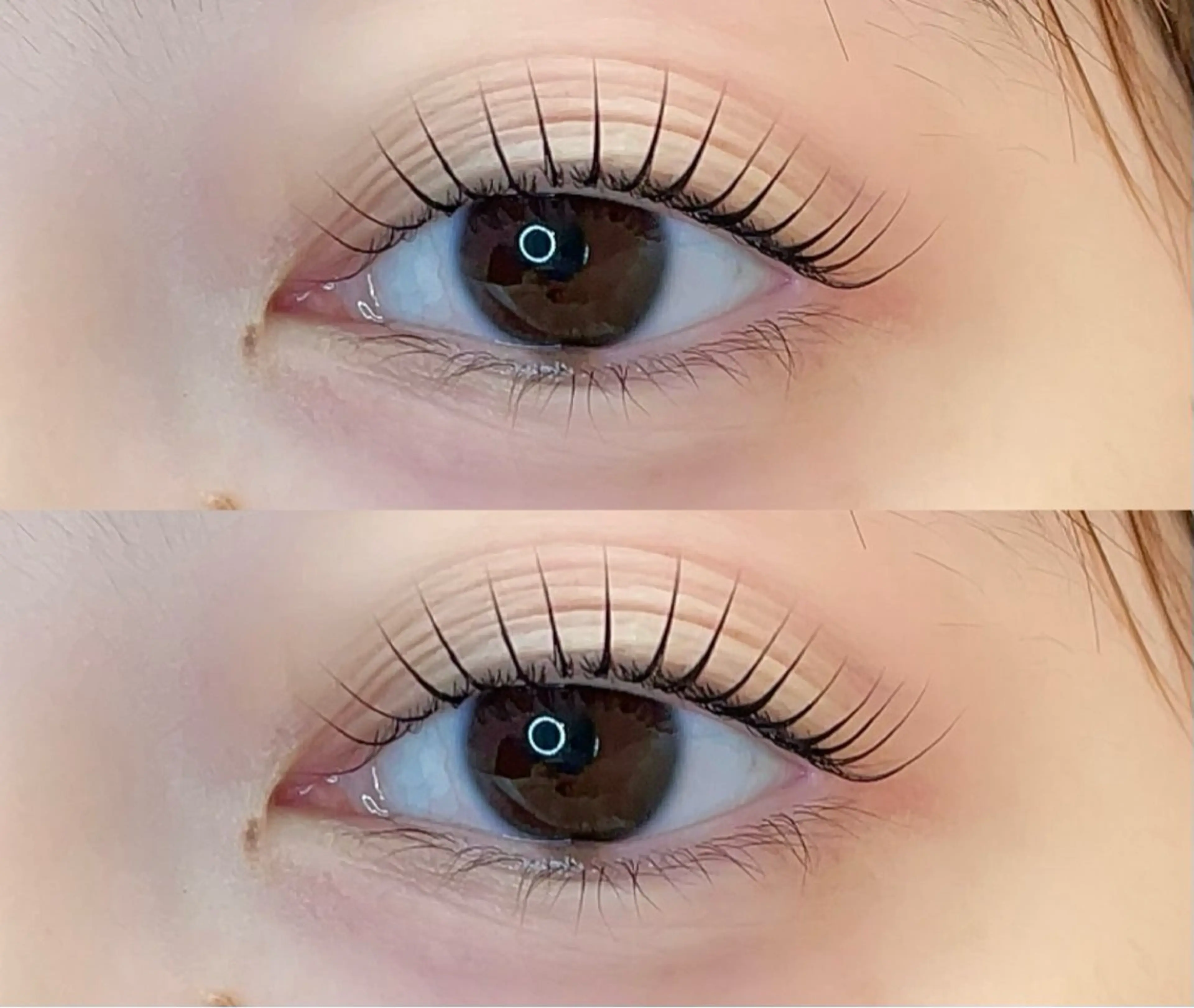 マツエク・マツパ Lupines ౨ৎ˖⊹ AISAのマツエク・マツパデザイン