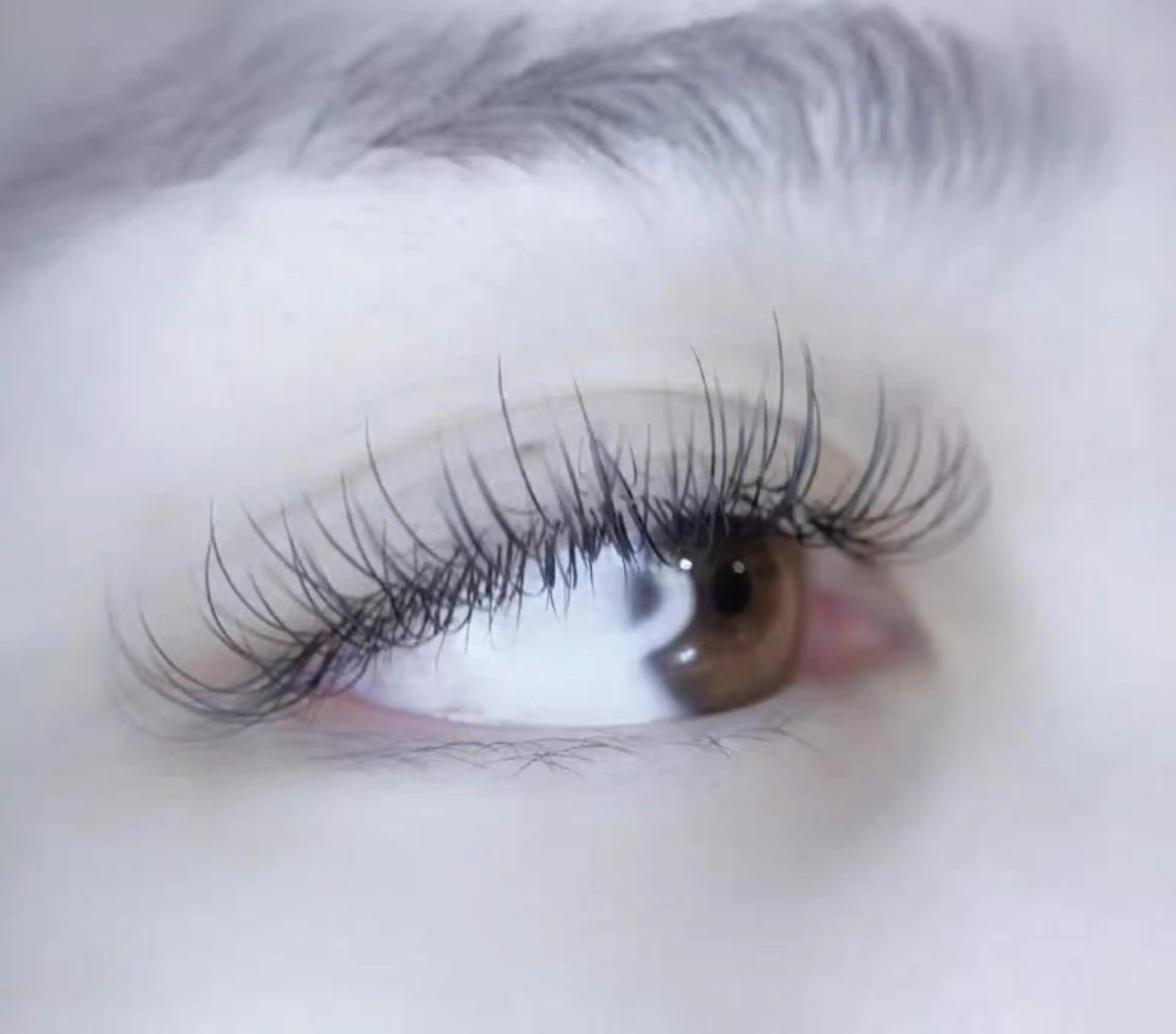 マツエク・マツパ Cute beauty2のマツエク・マツパデザイン