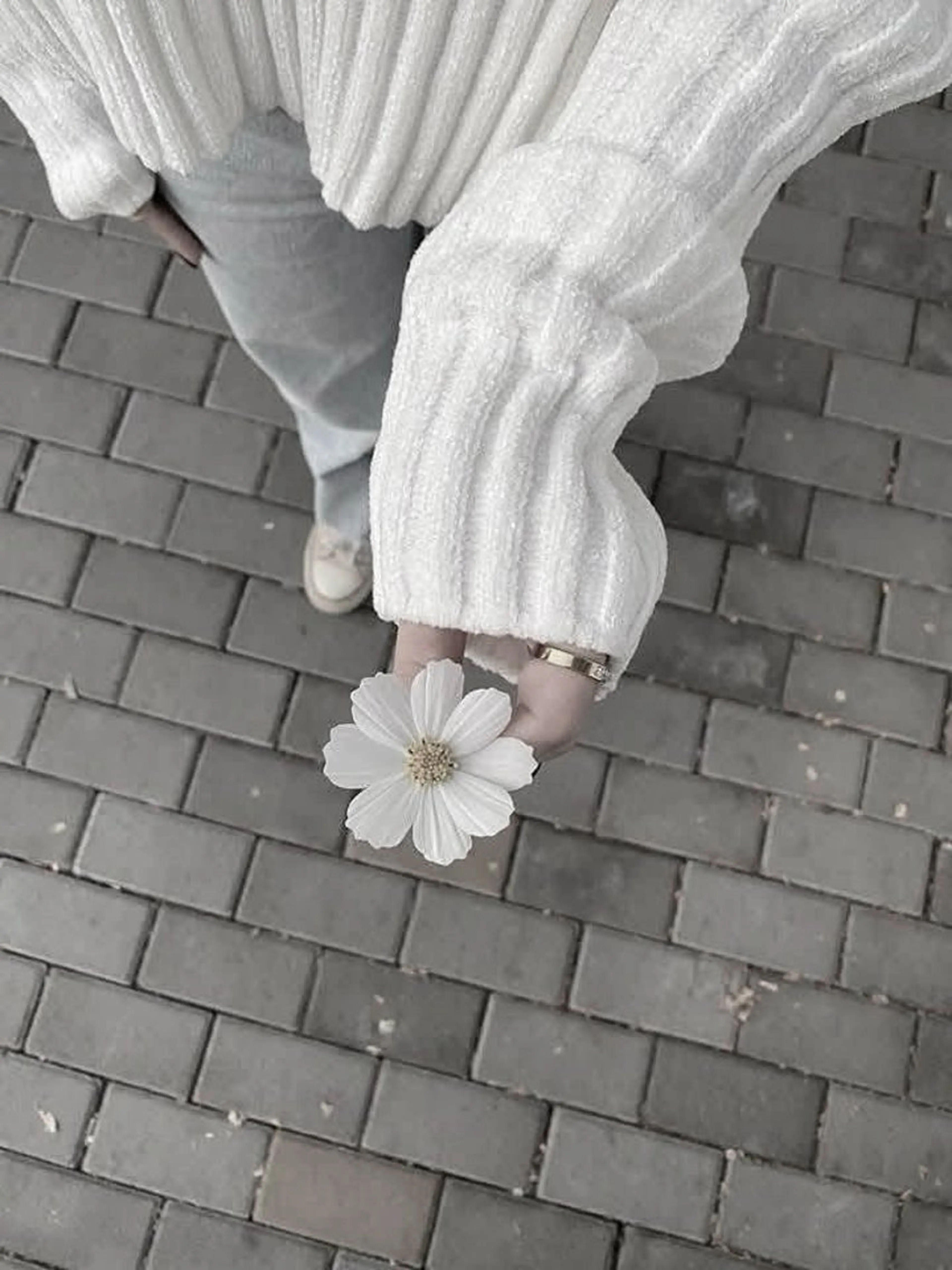 マツエク・マツパ BIANCA ✴︎ YURIAの眉毛・アイブロウイメージ